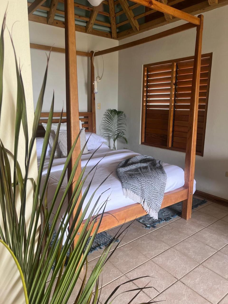 Queen Room with Sea View photo 1