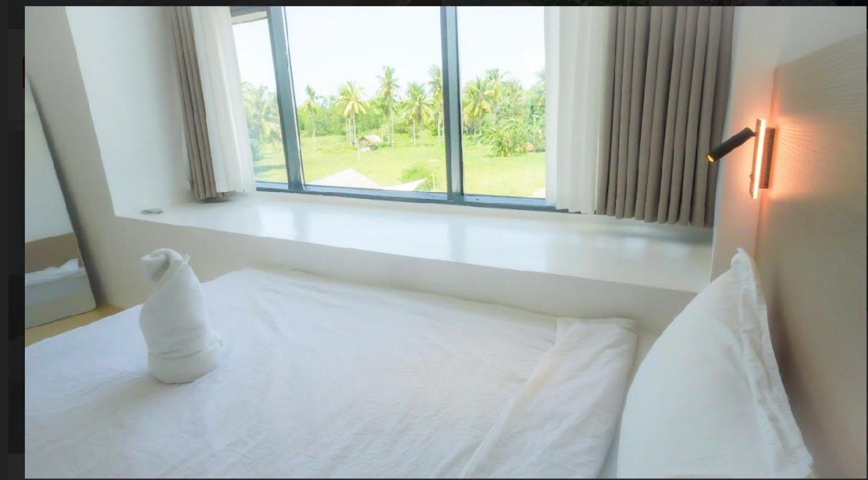 Twin Room photo 3