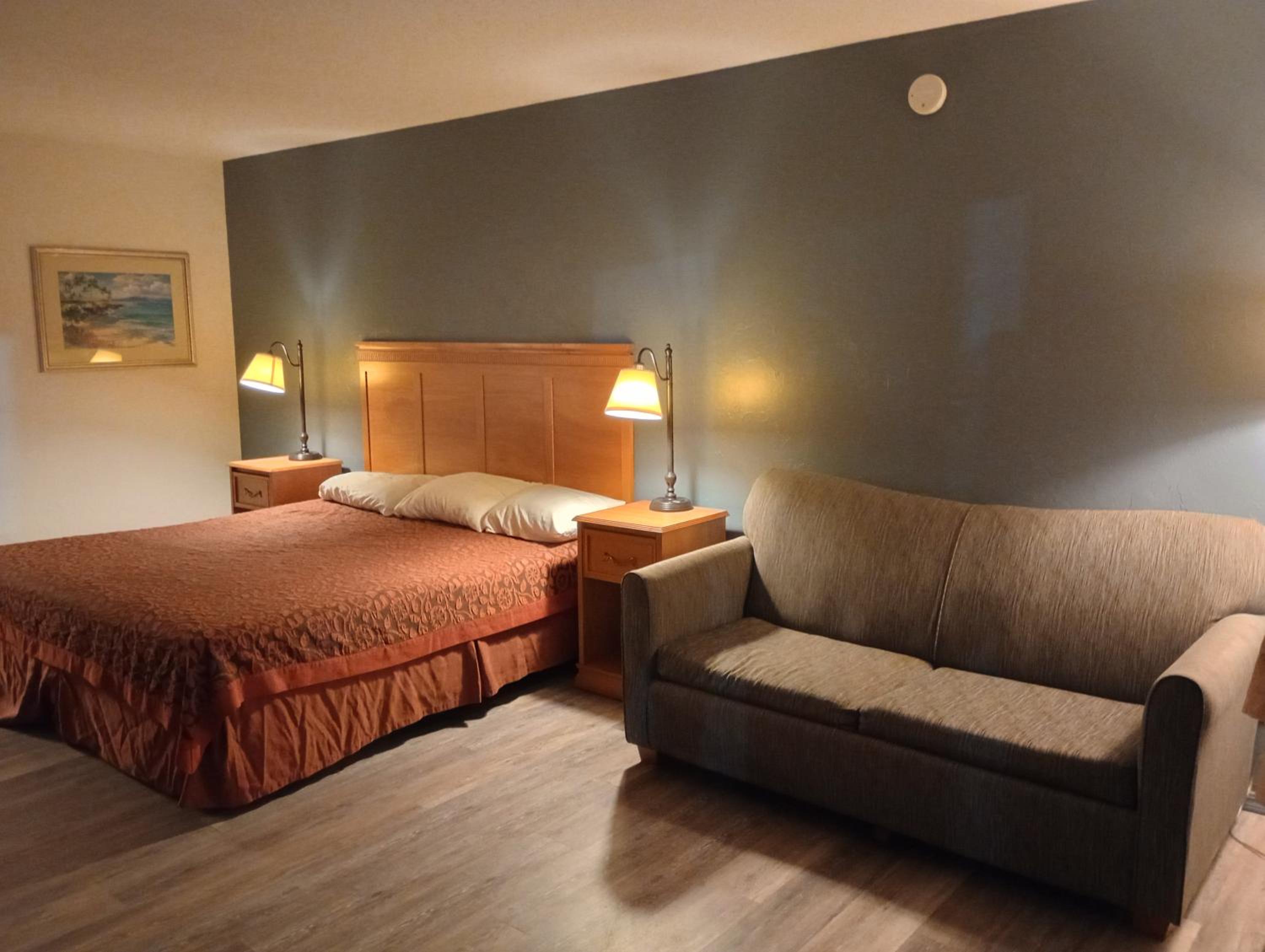 Single Room photo 2