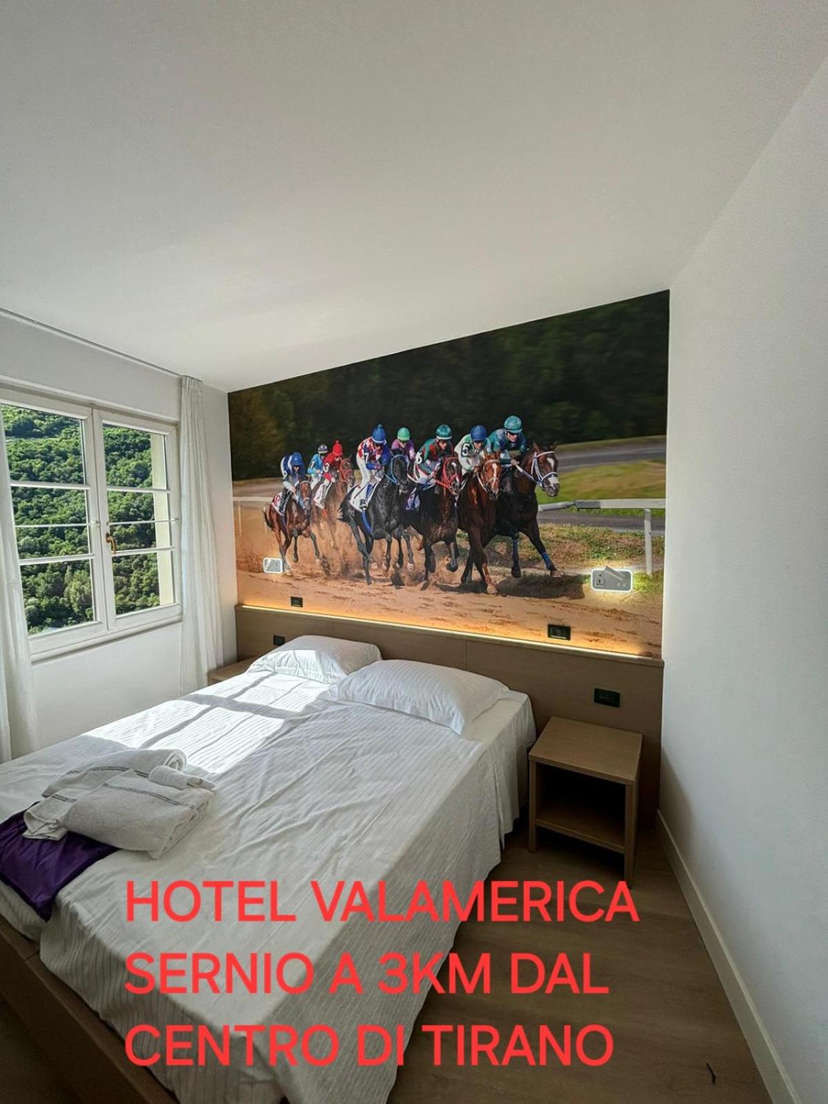Double Or Twin Room