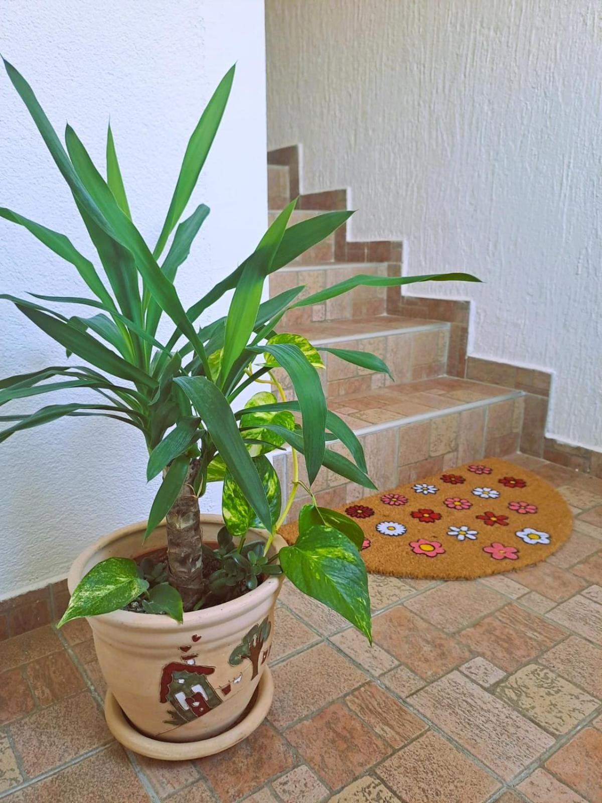 Three-Bedroom Villa photo 3