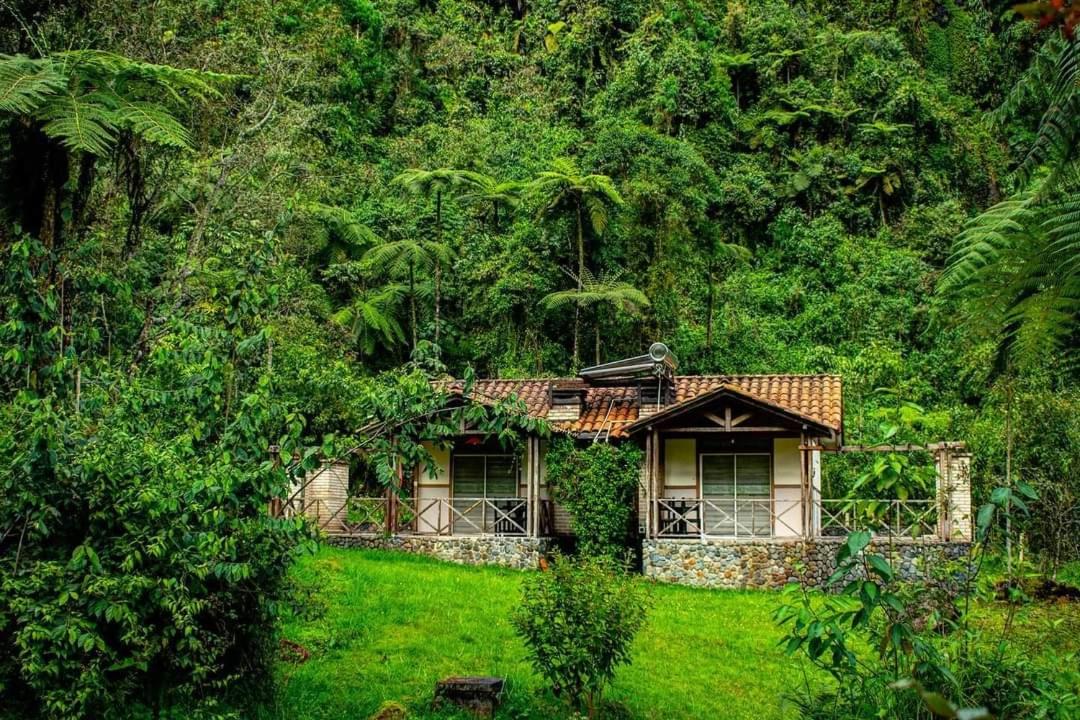 Bungalow (6 Adults) photo 2