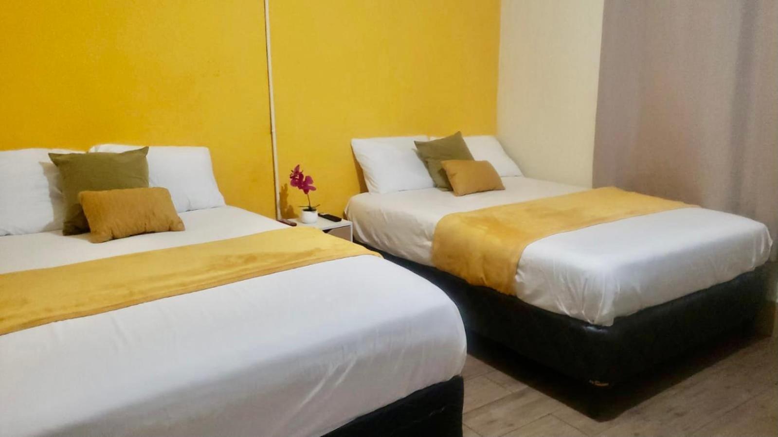 Deluxe One-Bedroom Apartment With Garden View