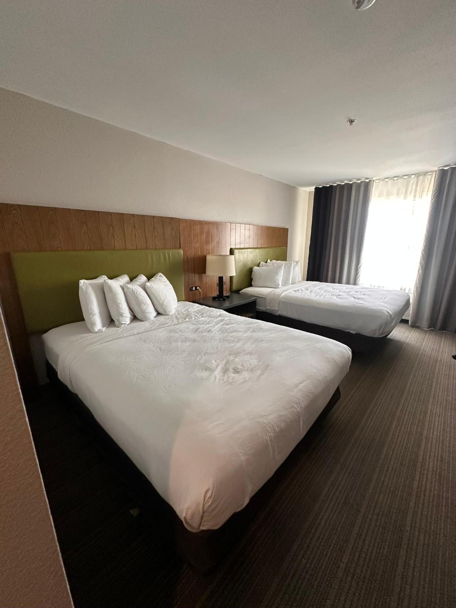 Quadruple Room With Two Queen Beds - Non Smoking/Pet Friendly photo 1