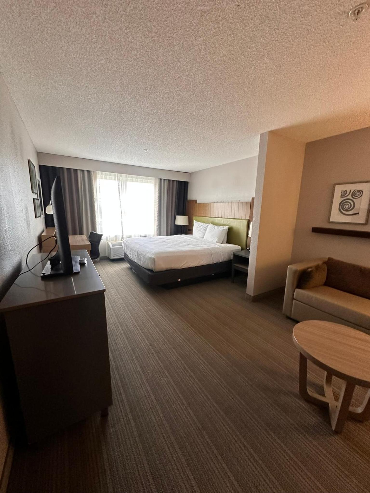 King Suite With Sofa Bed - Non Smoking/Pet Friendly