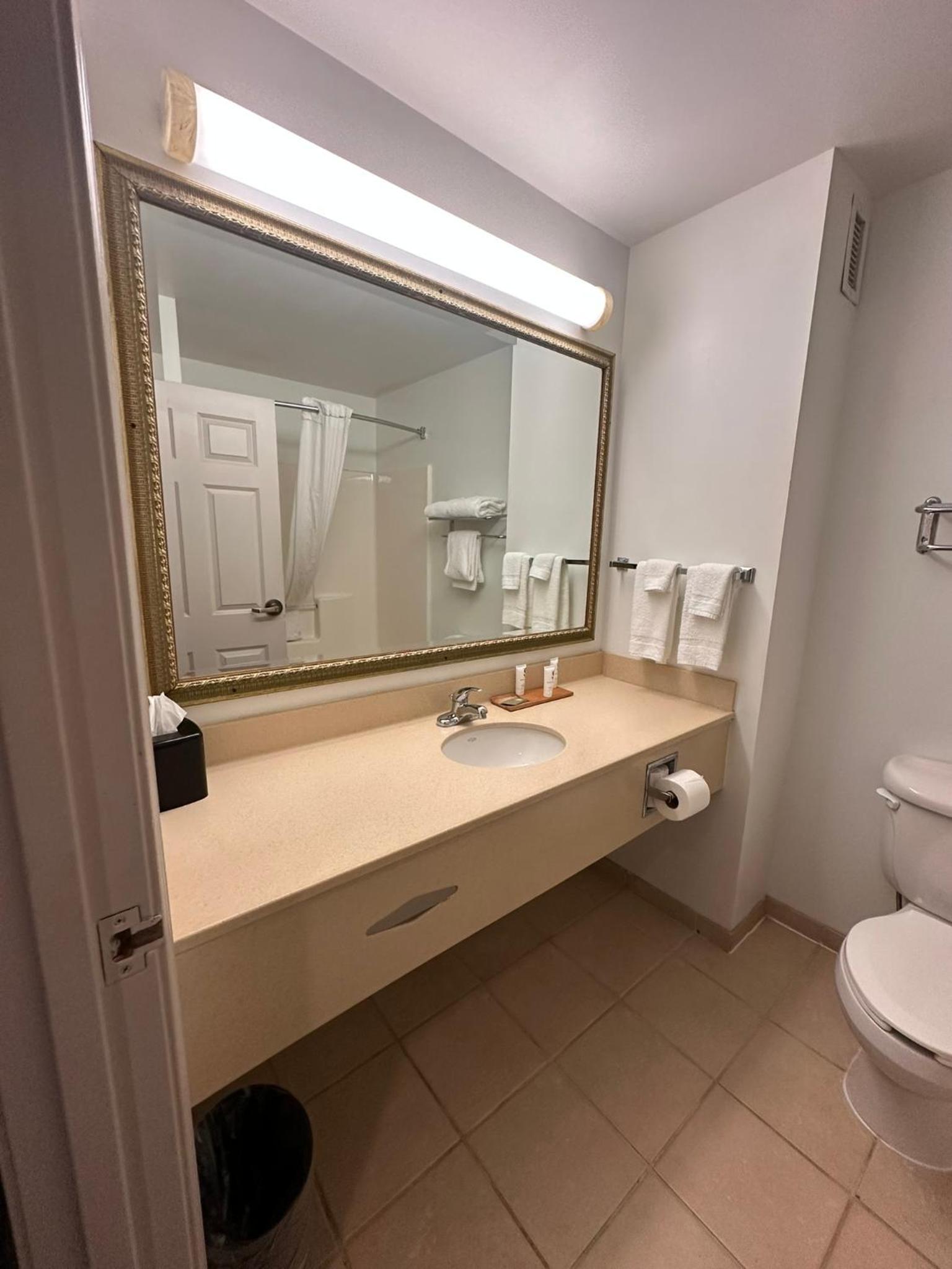 Quadruple Room With Two Queen Beds - Non Smoking/Pet Friendly photo 3