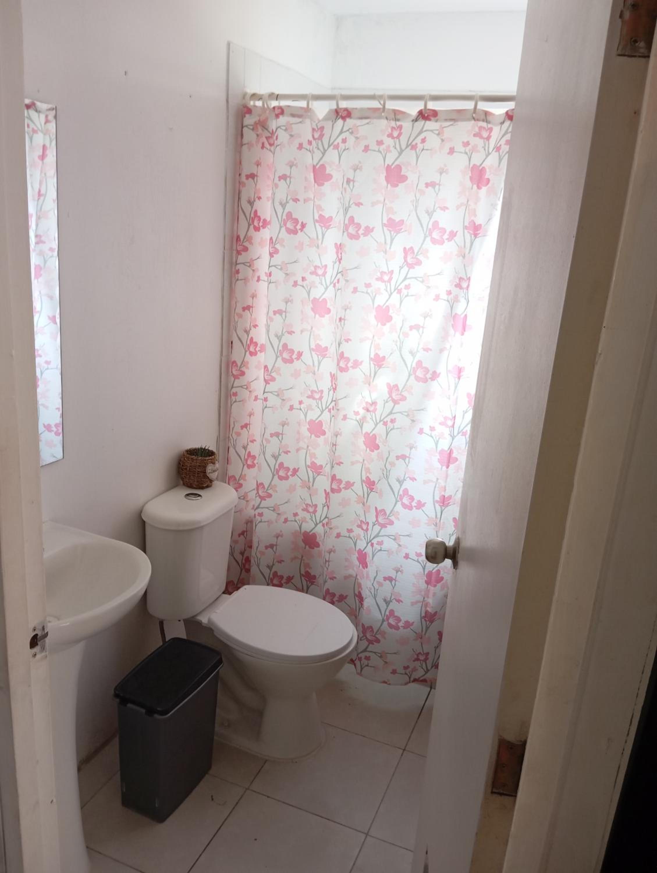 One-Bedroom House photo 2