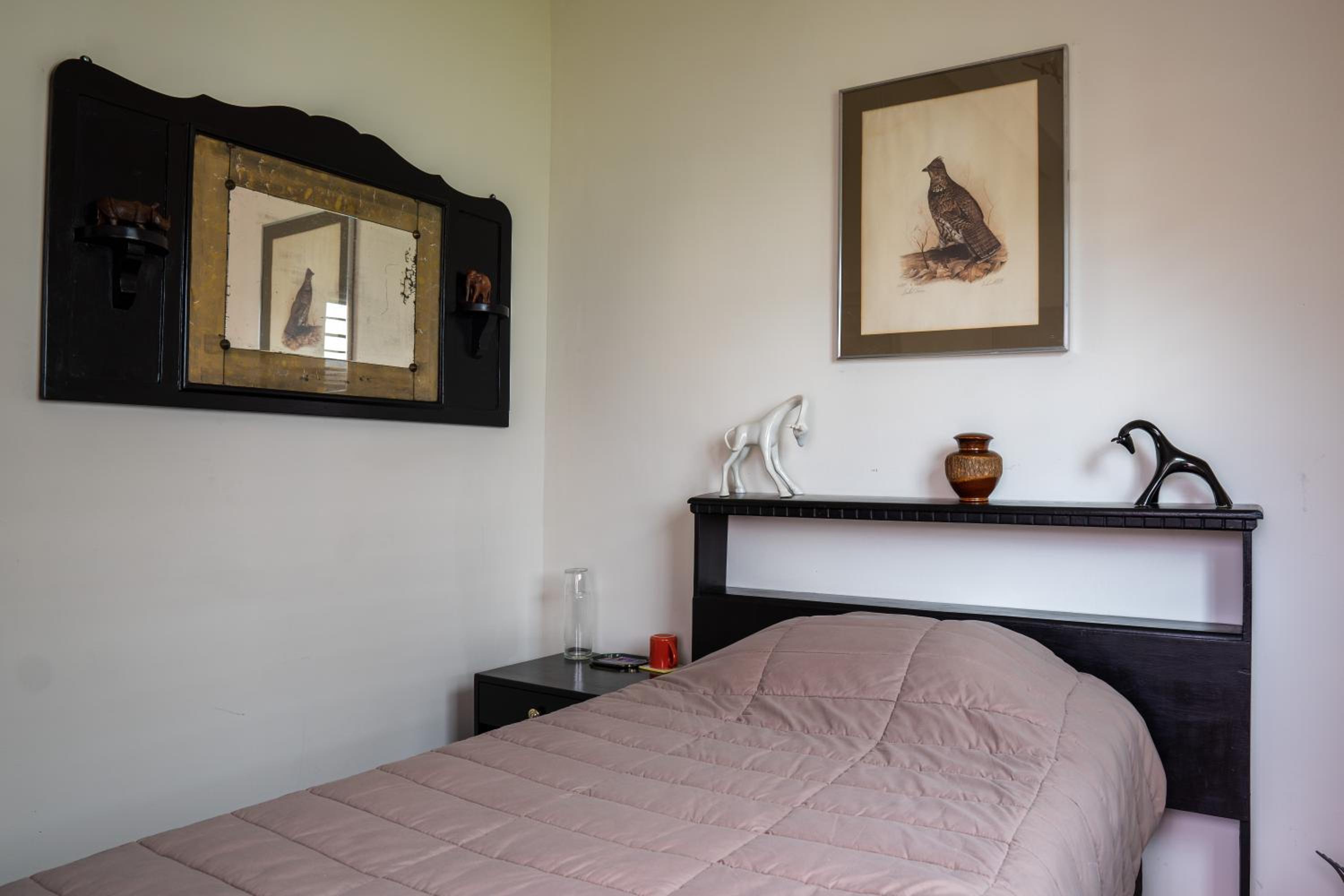 Single Room photo 2
