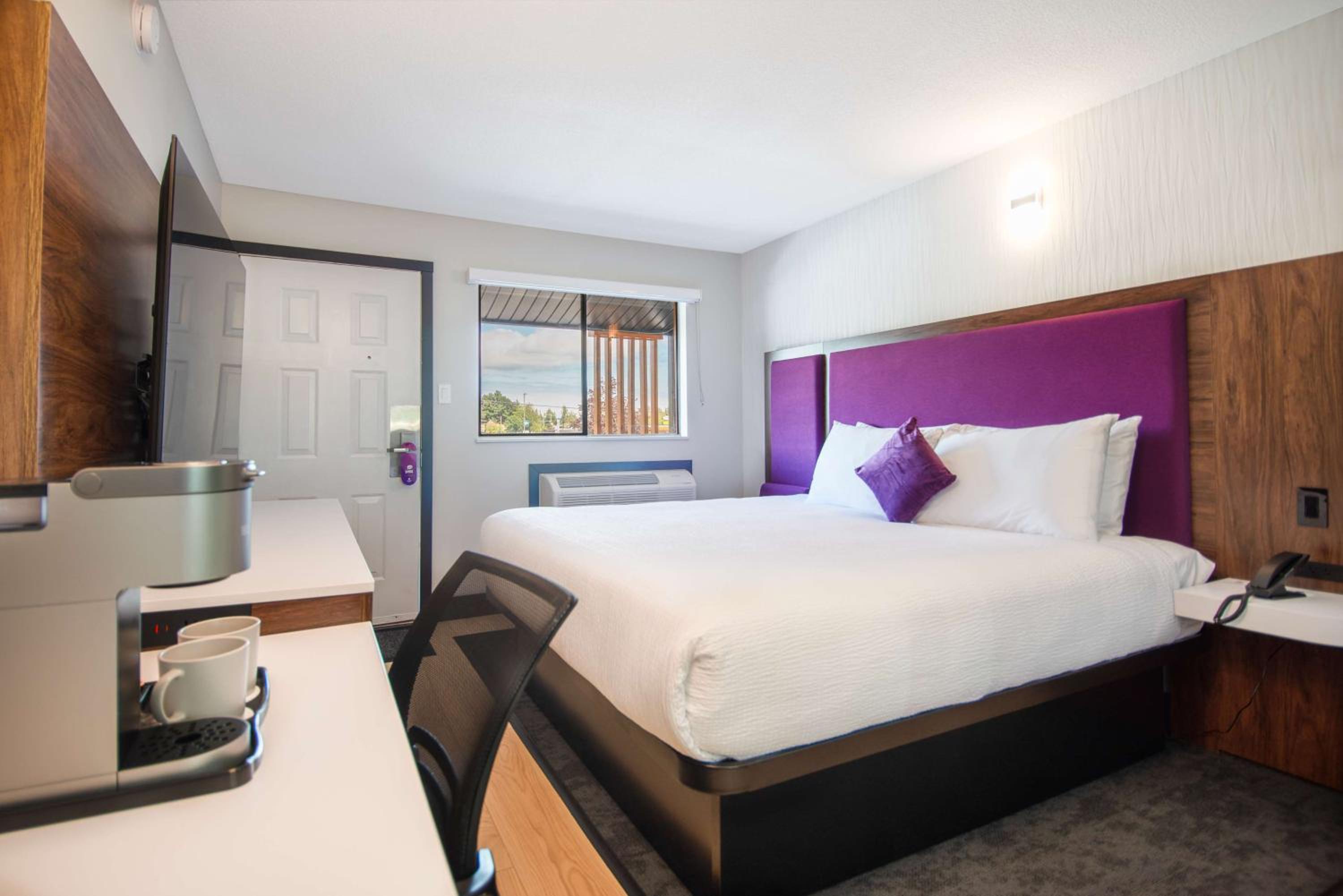 King Room photo 1