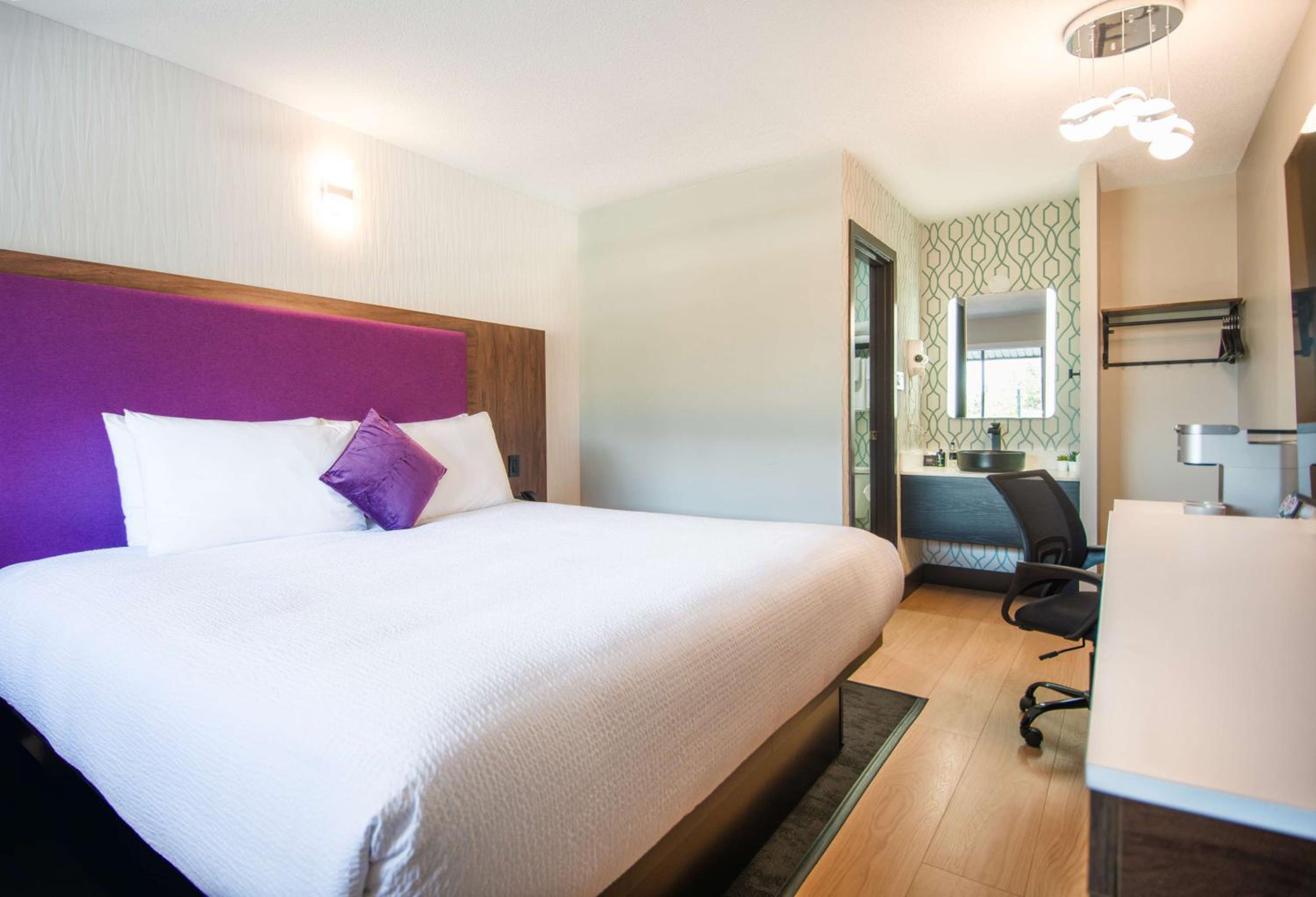 King Room photo 2