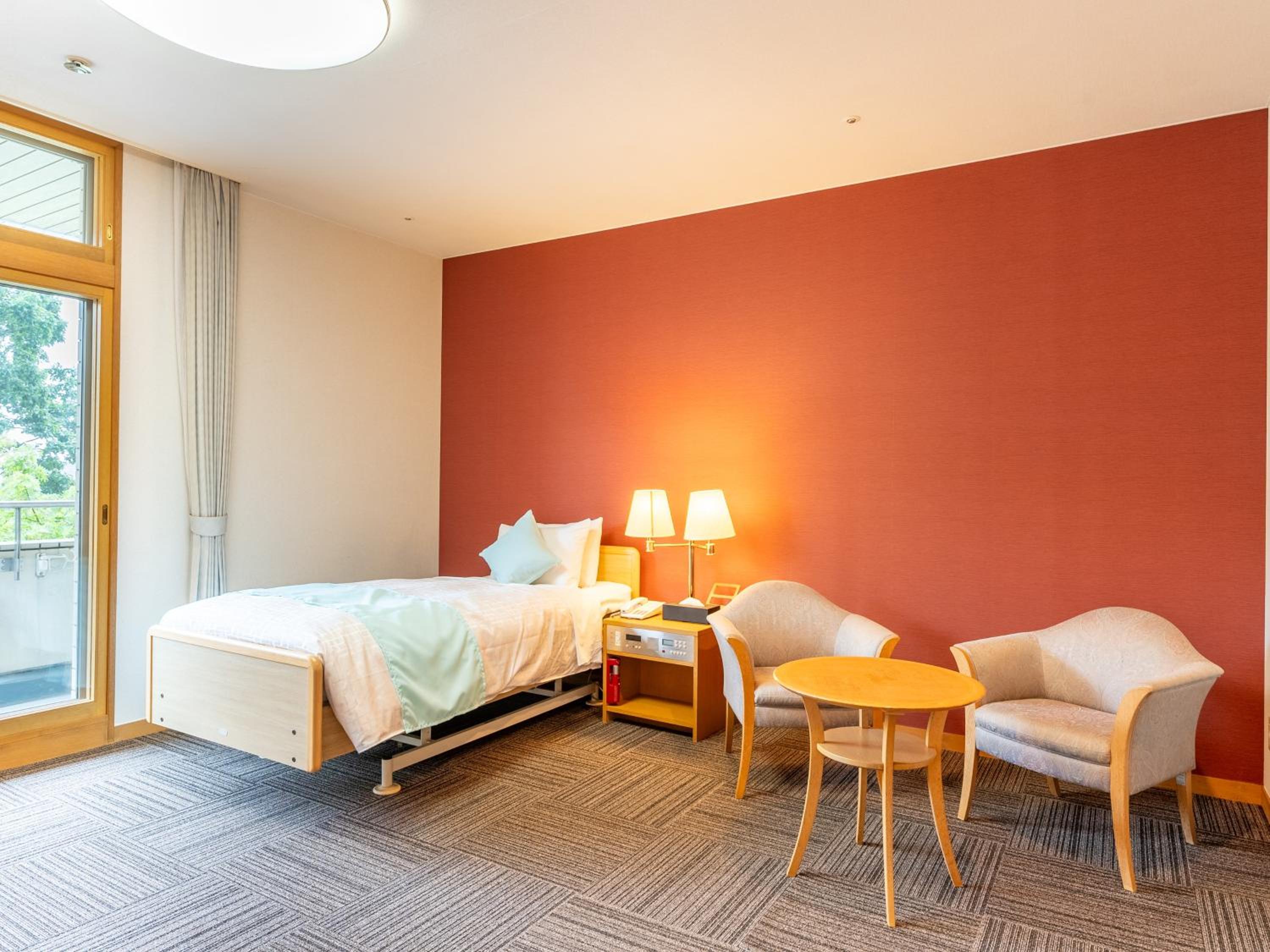 Single Room with Disability Access - Non-Smoking photo 2