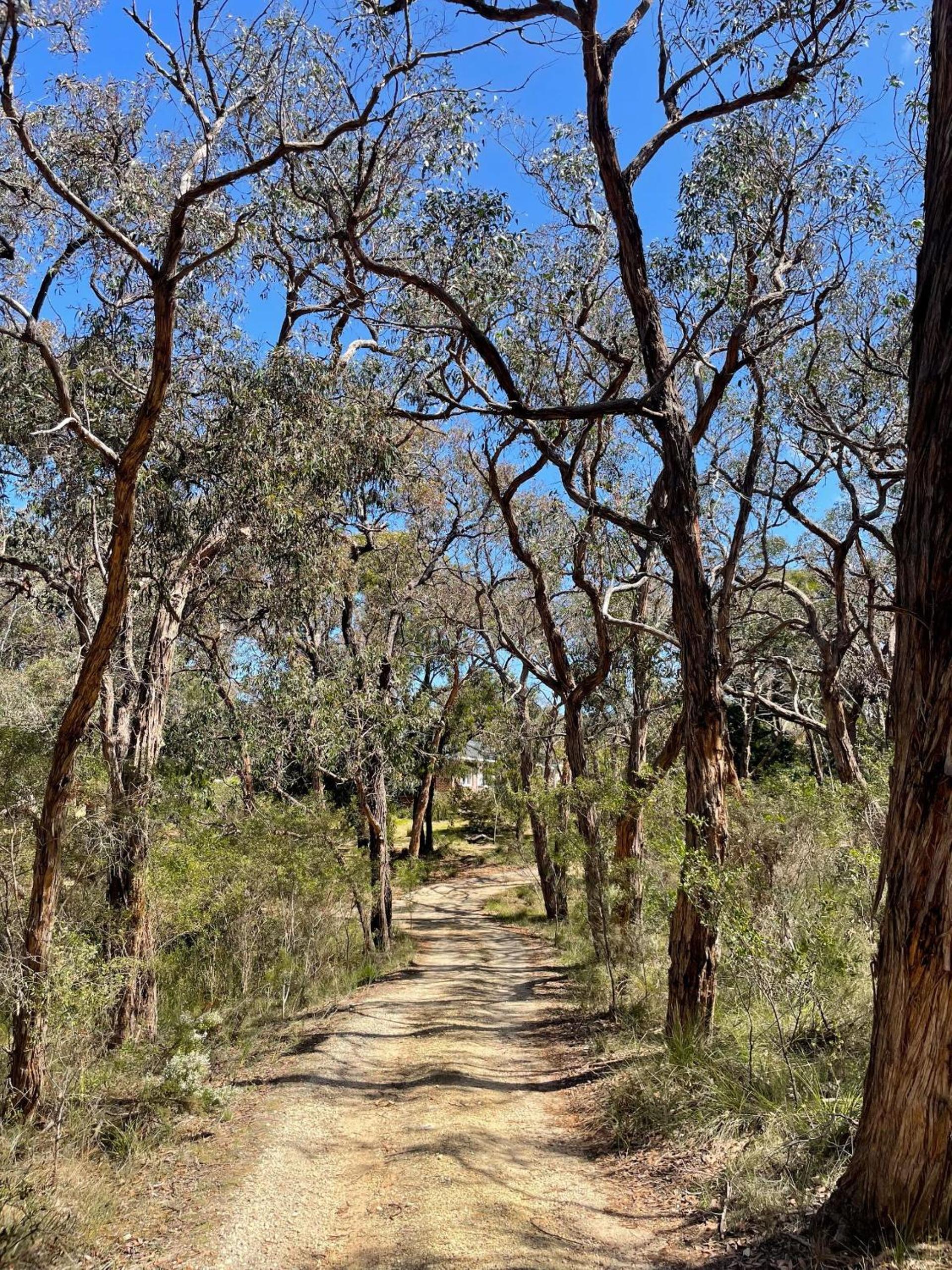 Four-Bedroom House photo 2