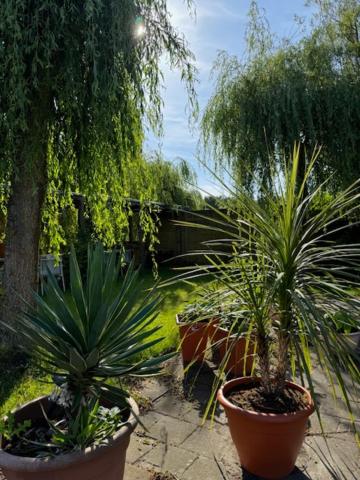 Double Room with Patio - Photo 2