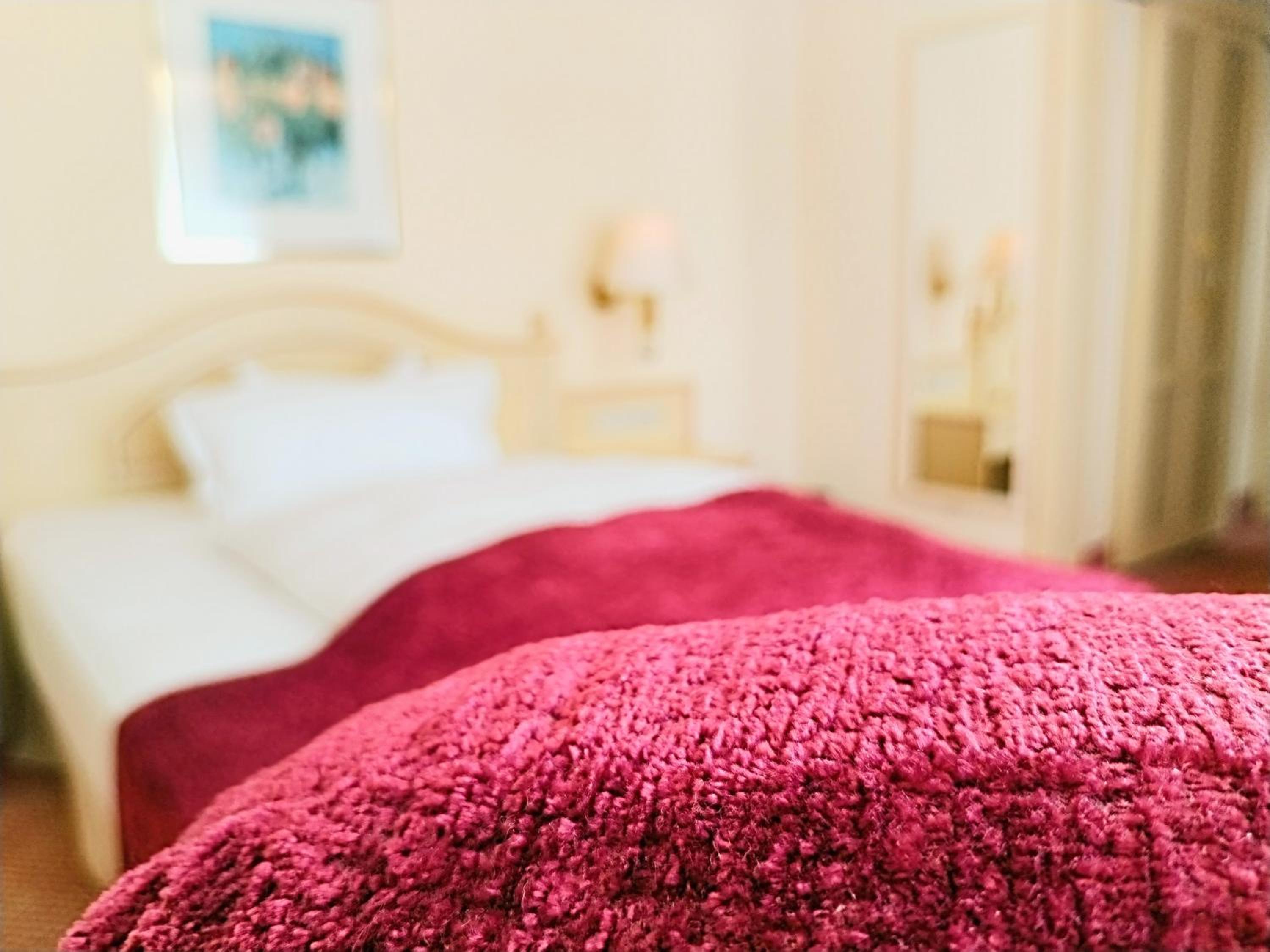 Deluxe Single Room photo 3