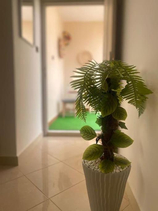 Studio with Terrace photo 2