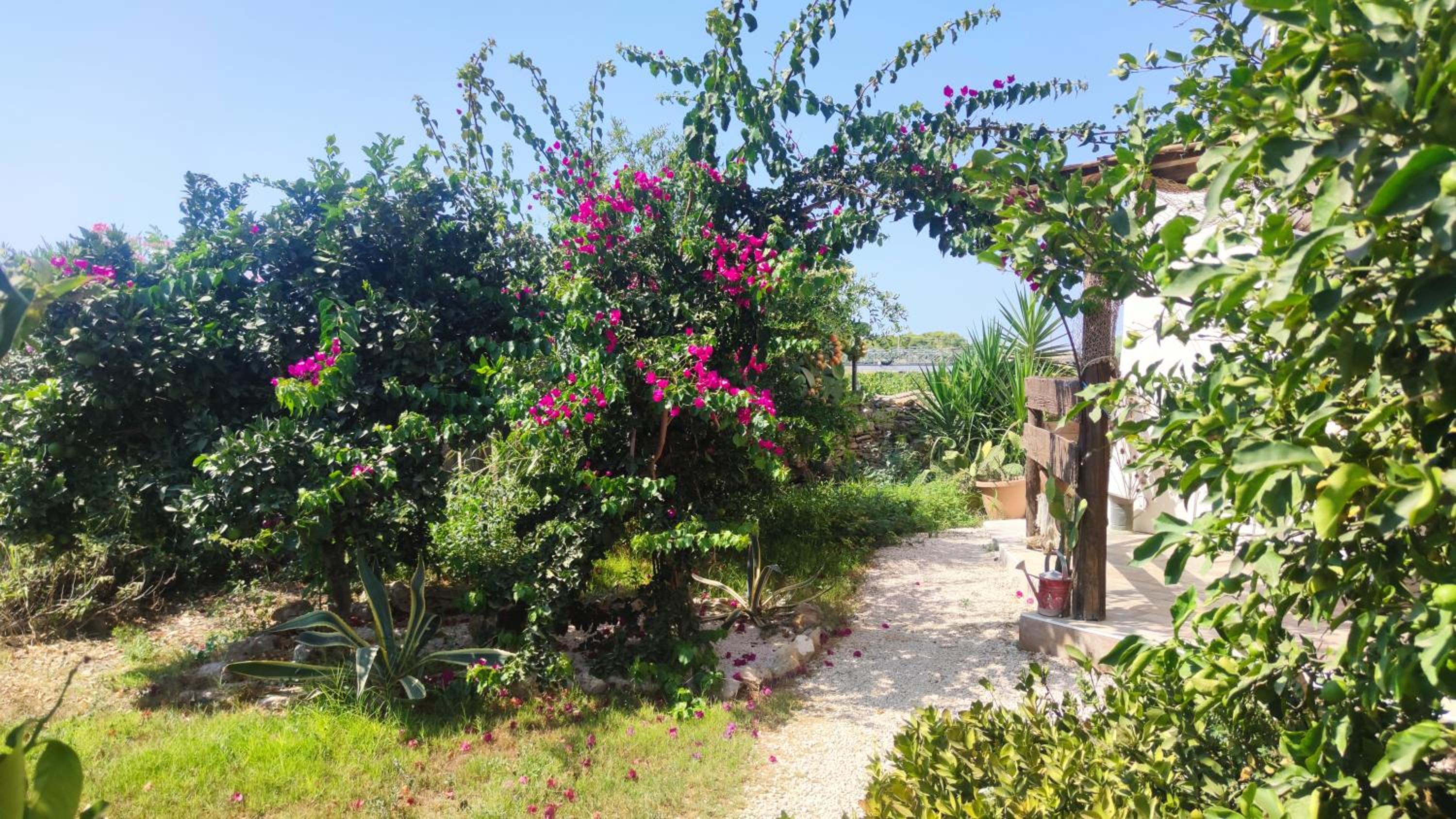 Double Room with Garden View photo 2