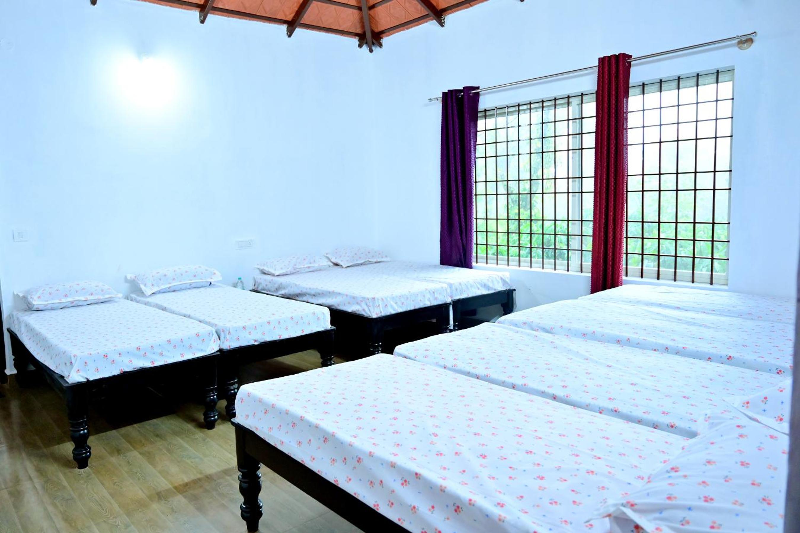 8-Bed Mixed Dormitory Room photo 1