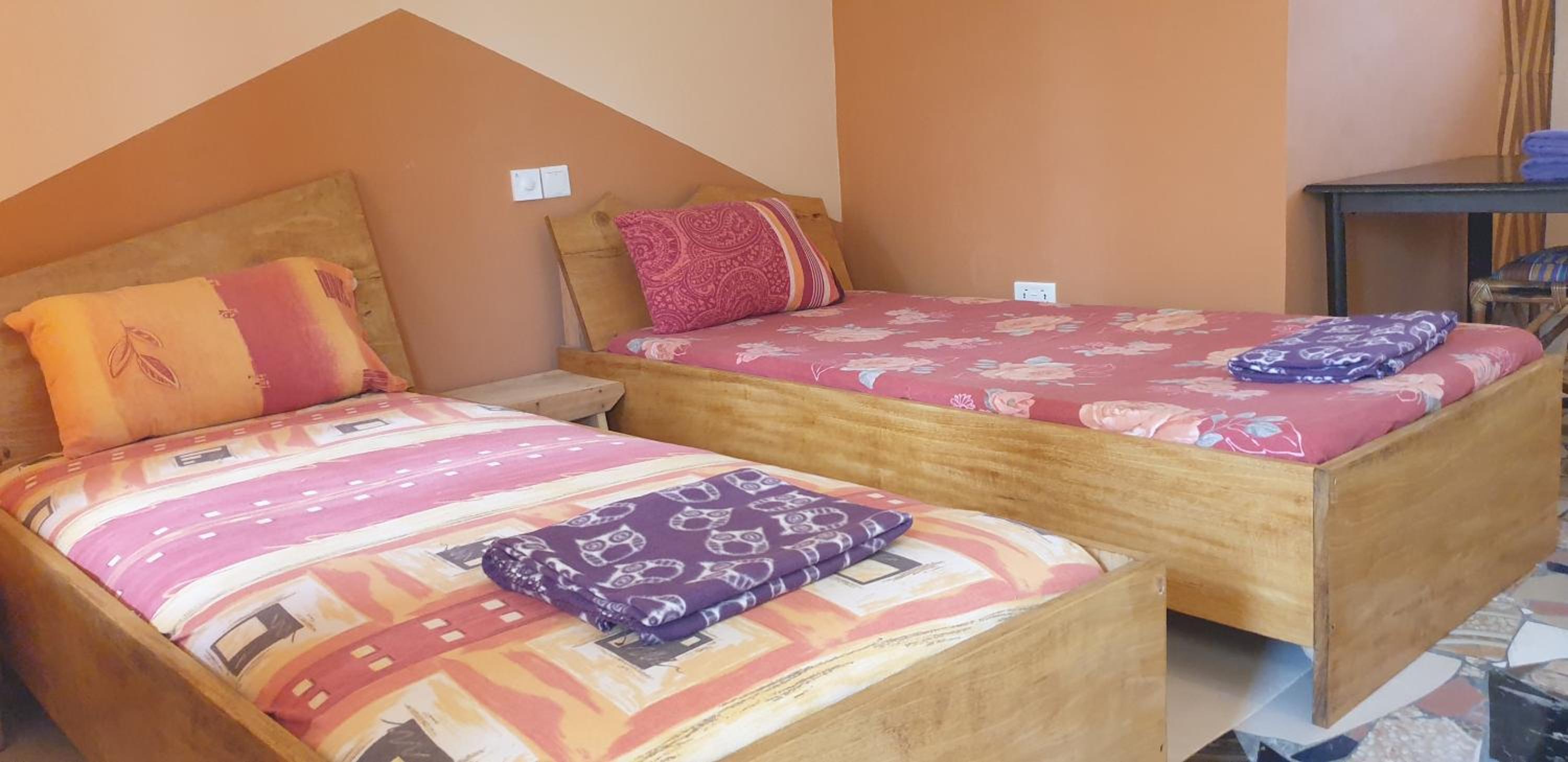 Twin Room photo 2