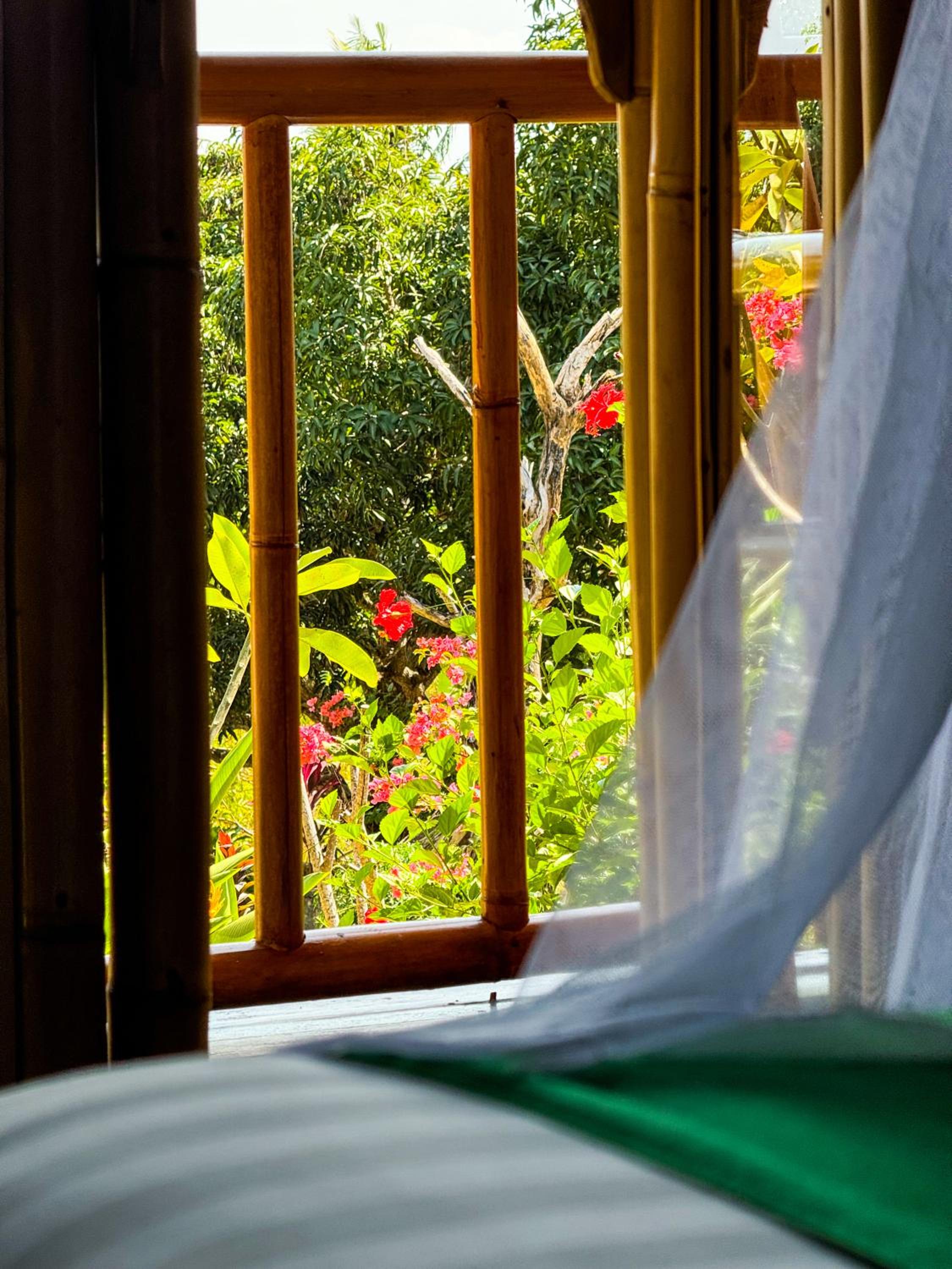 Bungalow Garden View - Photo 15