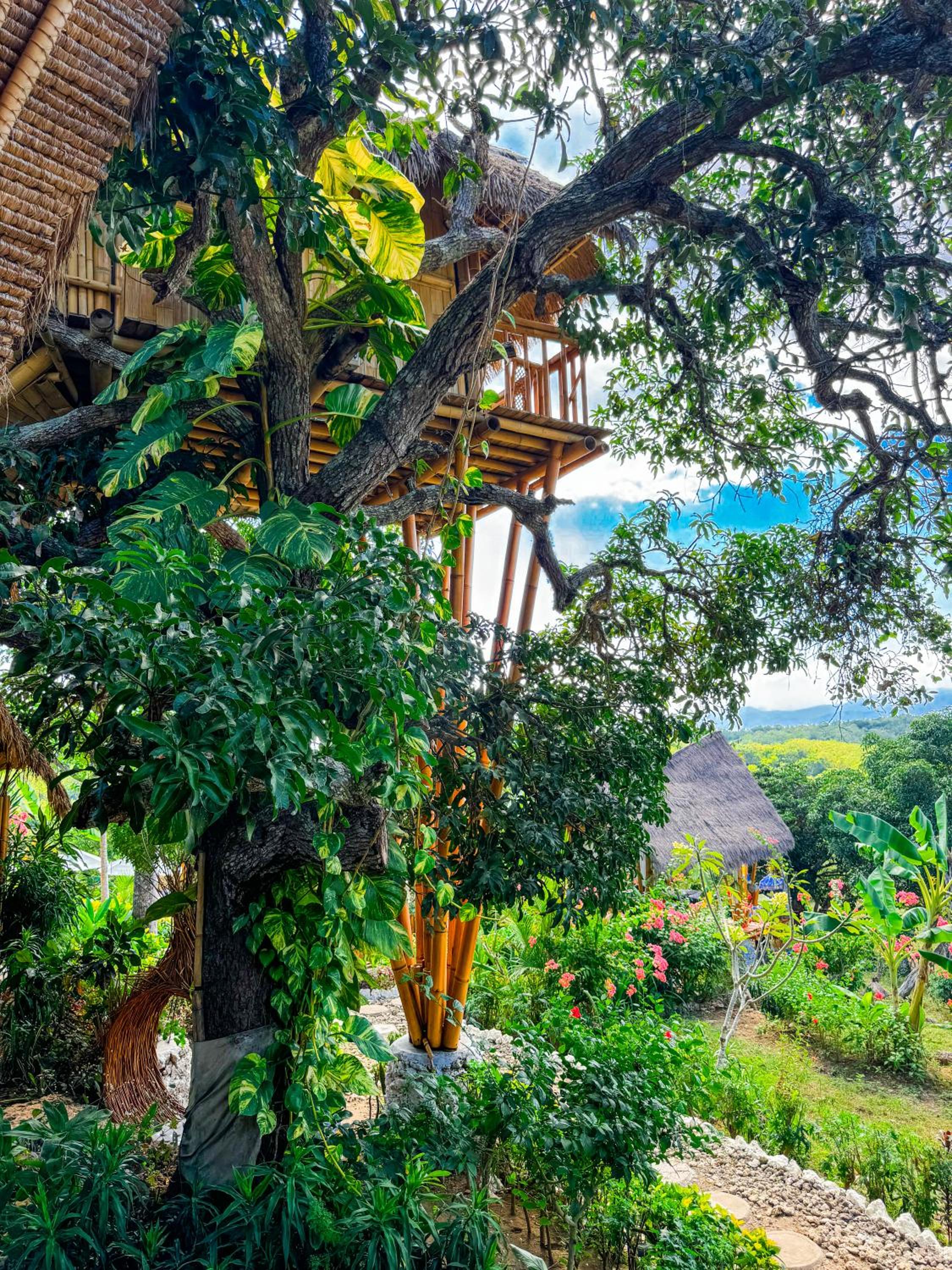 Tree House