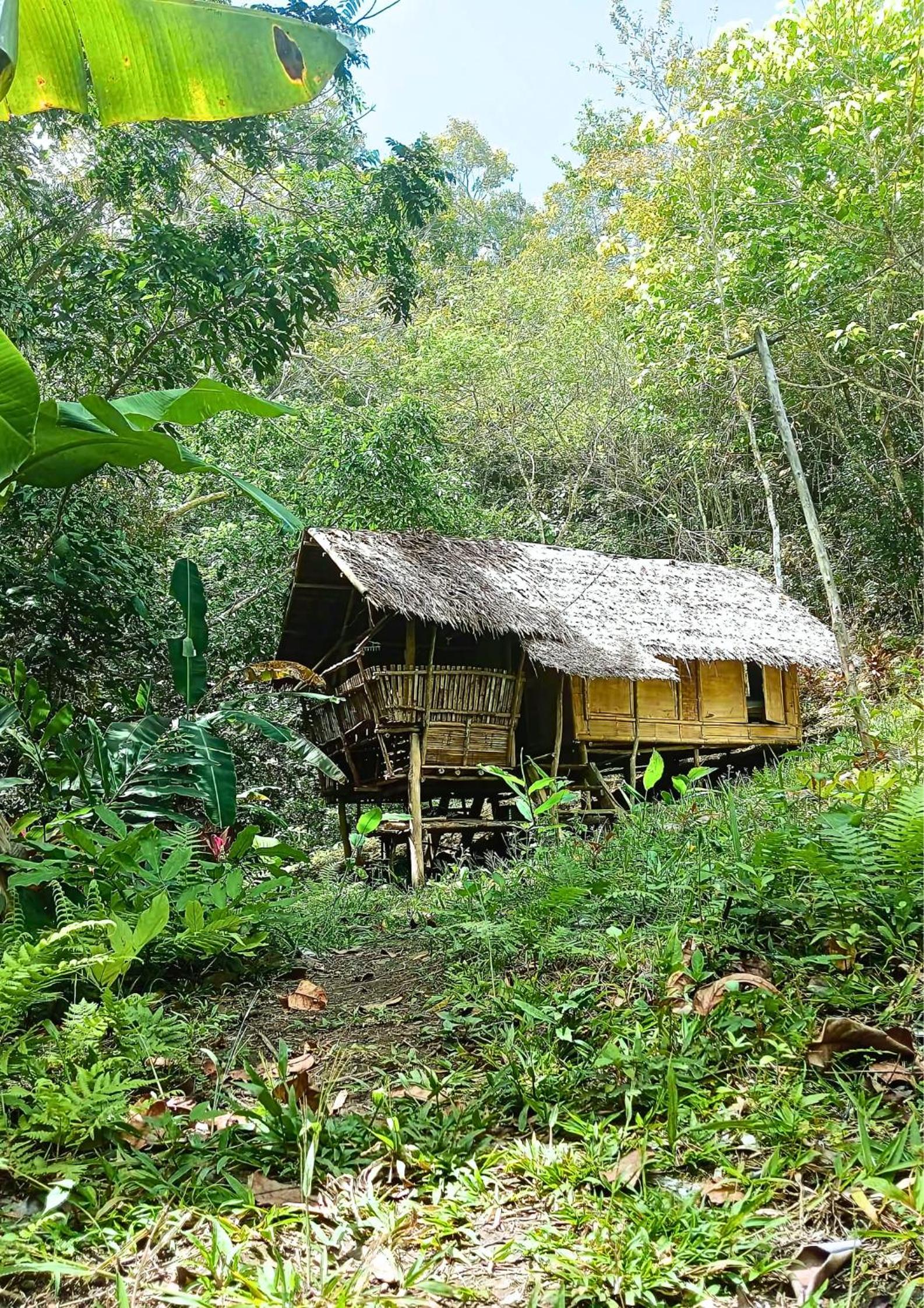 Twin Room with Private External Bathroom - Photo 2
