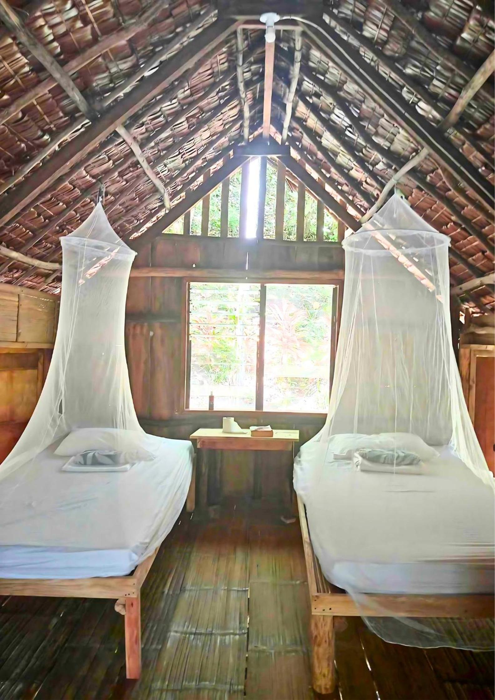 Twin Room with Private External Bathroom - Photo 1