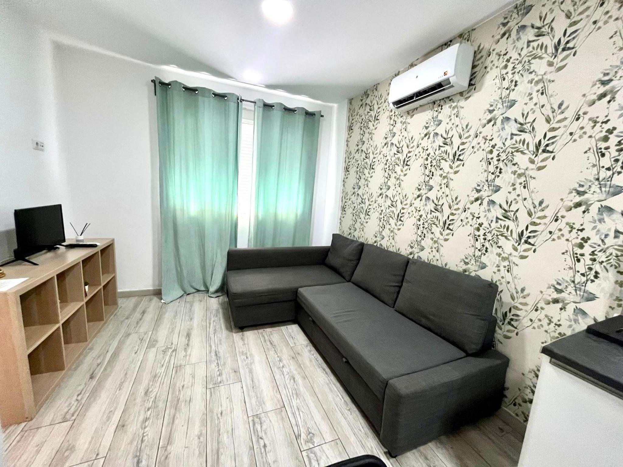 Apartamento Estándar de una habitación