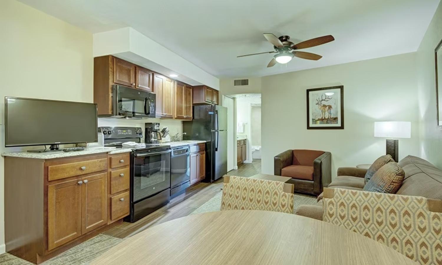 One-Bedroom Apartment photo 2