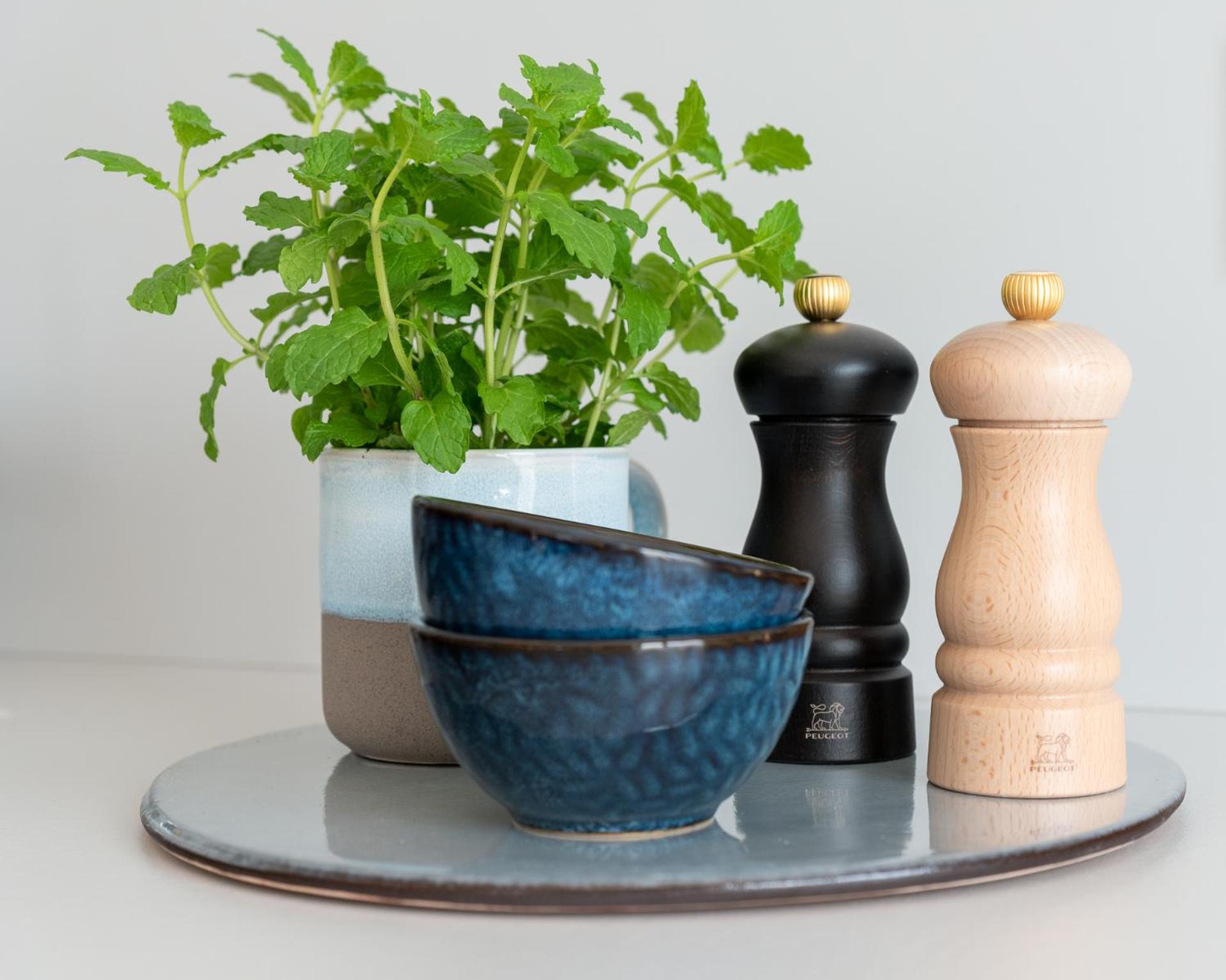 One-Bedroom Apartment with Garden photo 2