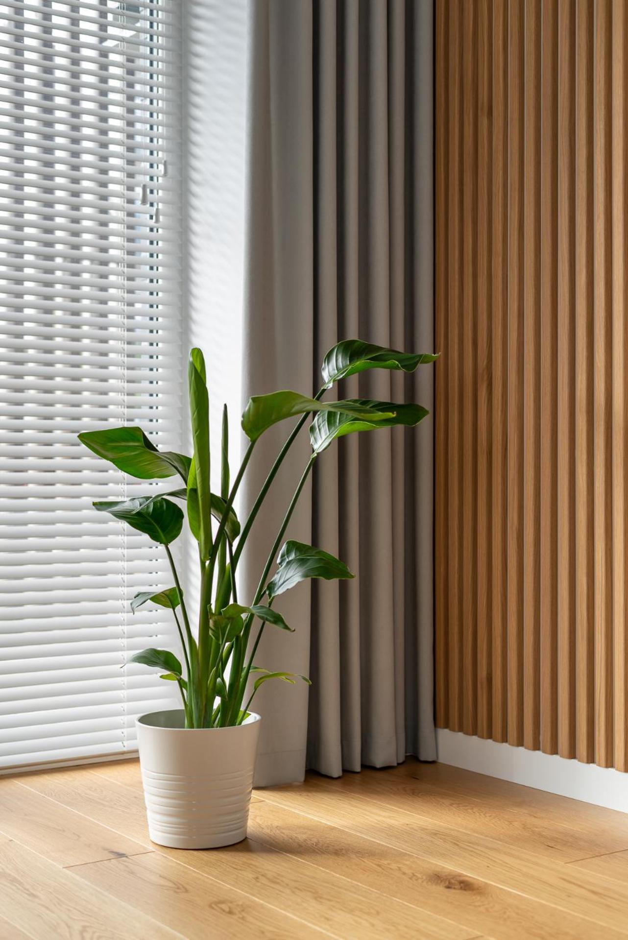 One-Bedroom Apartment with Garden photo 3