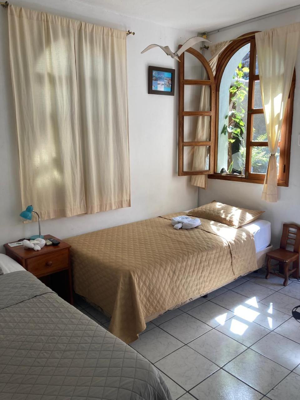 Twin Room photo 2