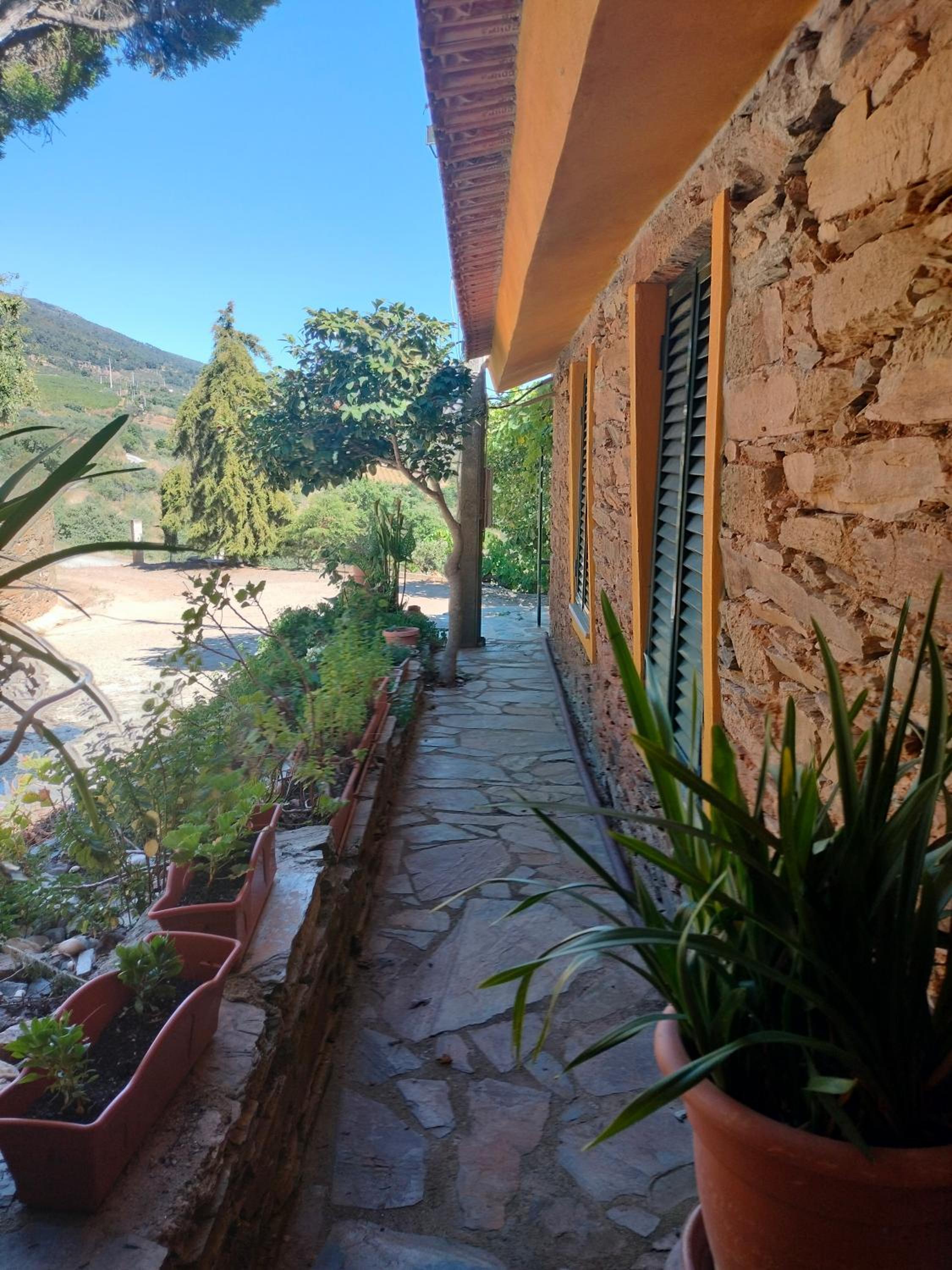 Three-Bedroom Chalet photo 2