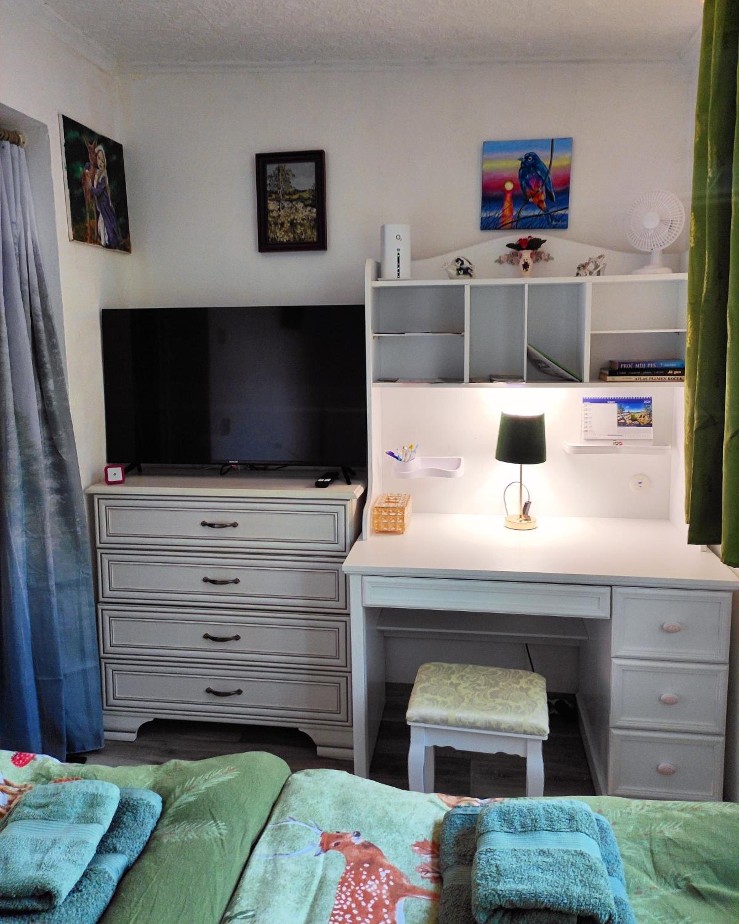 One-Bedroom House photo 1