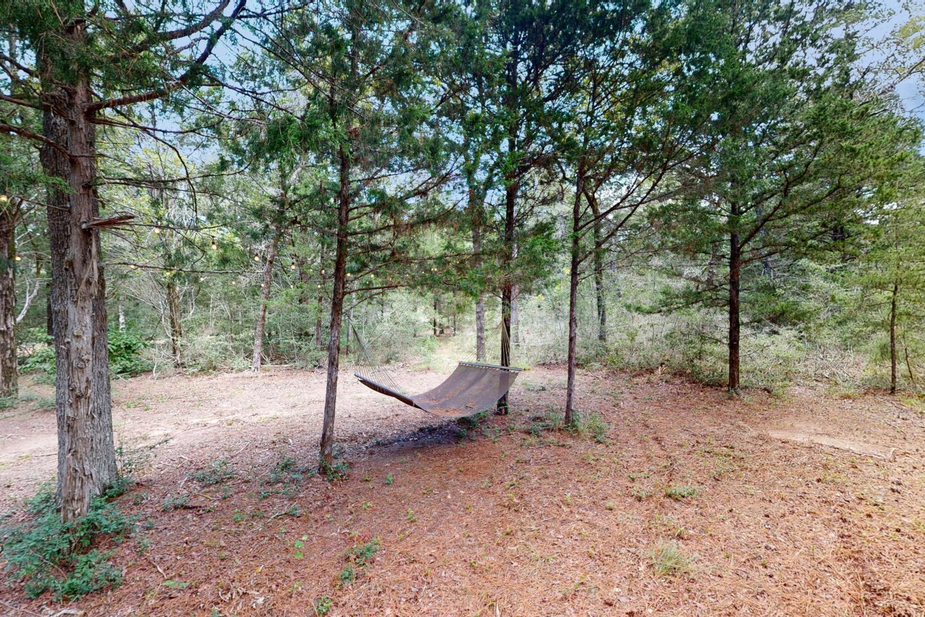 Vacation Home photo 2