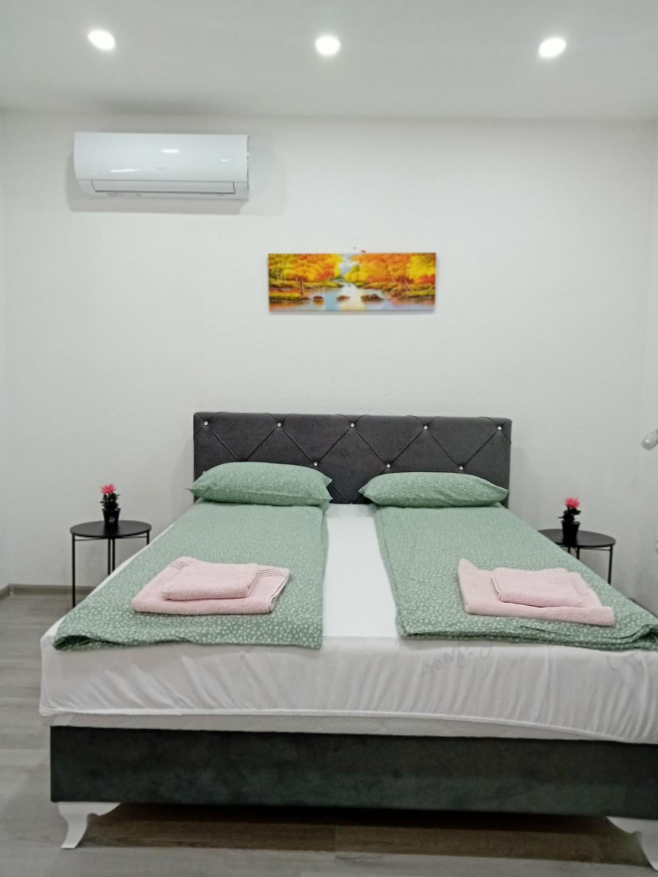 One-Bedroom Apartment photo 3