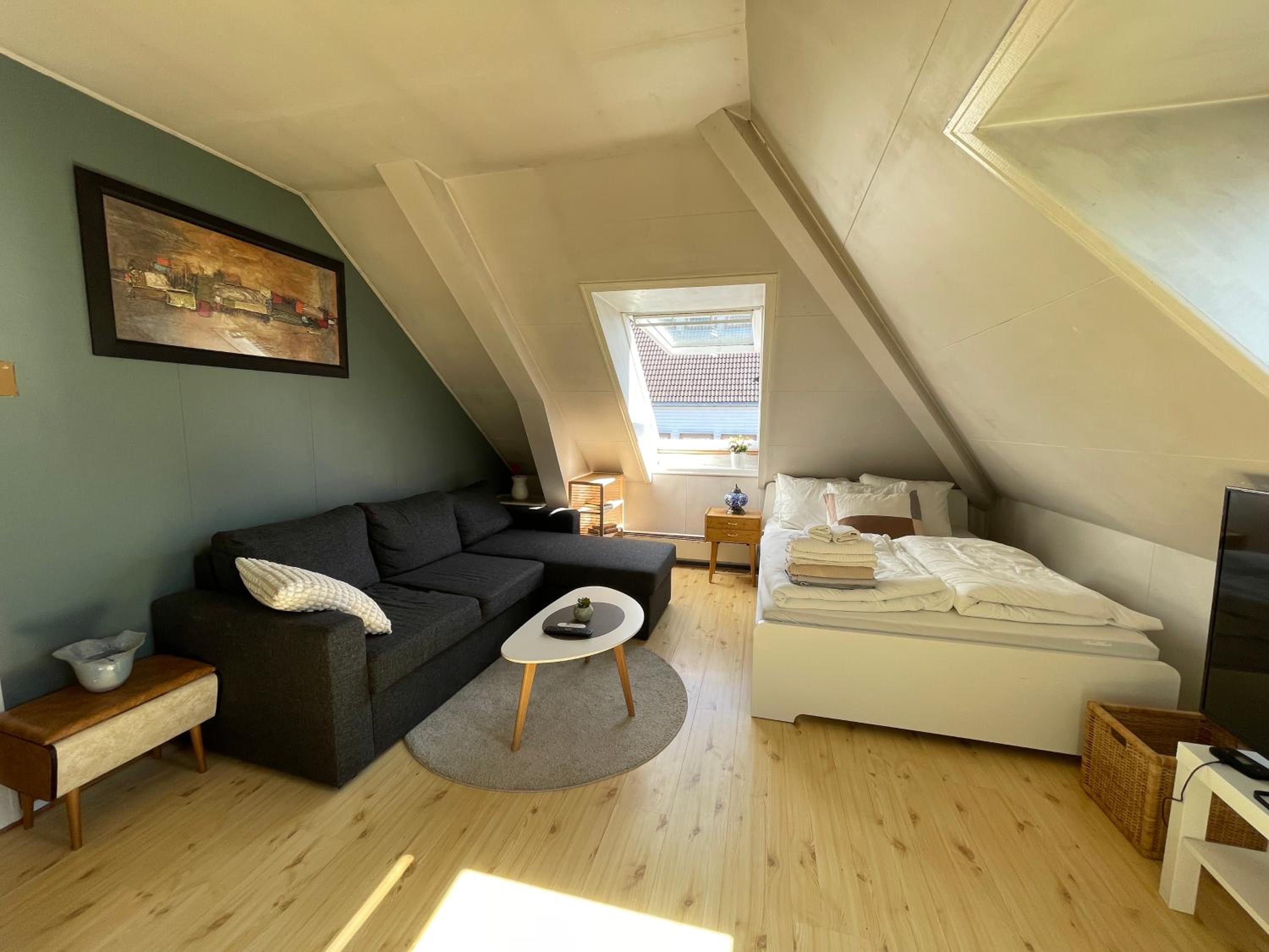King Studio with Sofa Bed photo 1