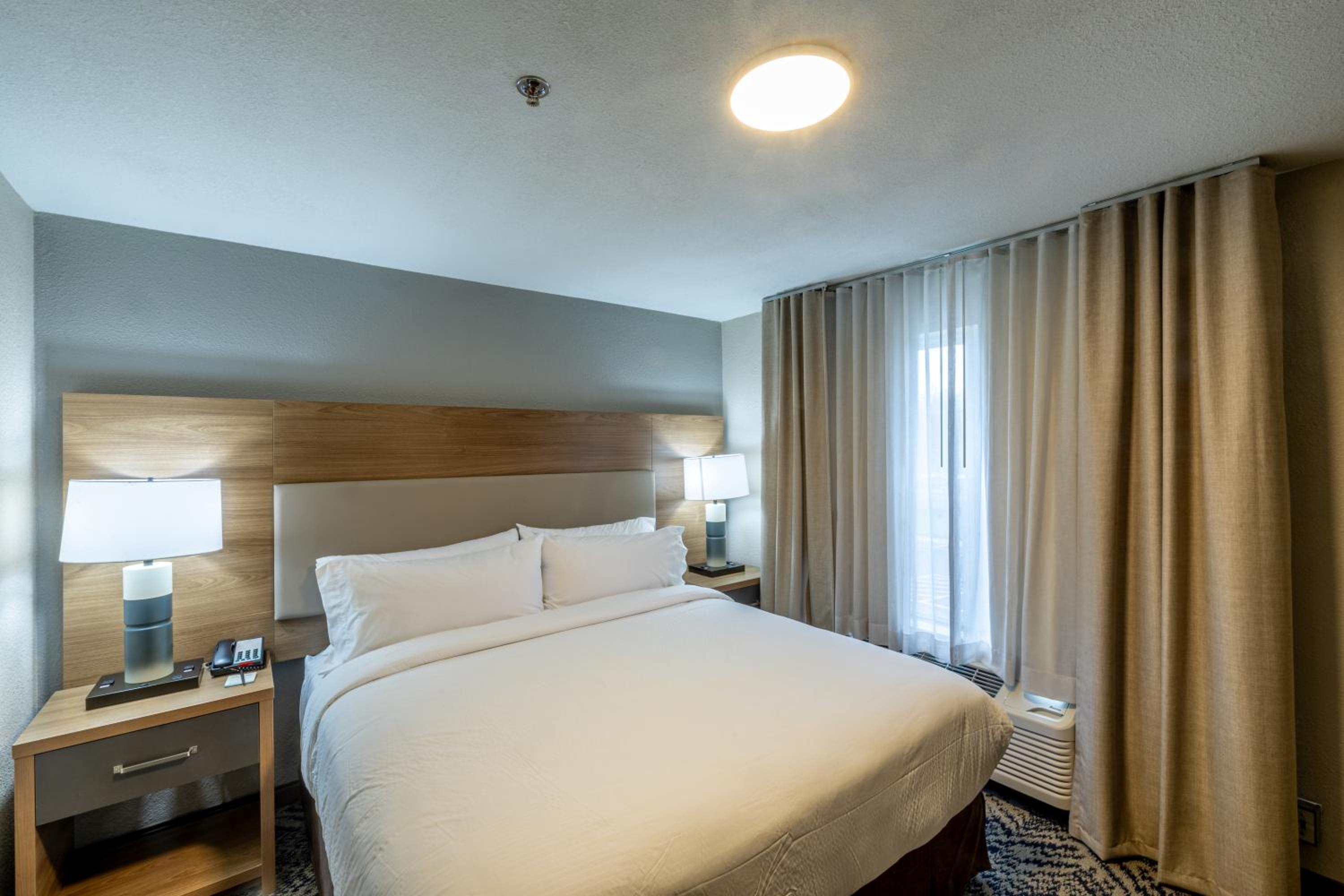 One-Bedroom King Suite - Photo 3