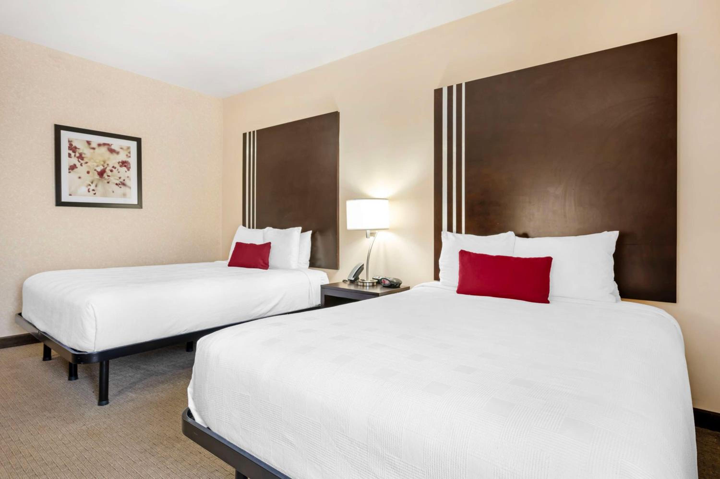 Queen Room with Two Queen Beds and Roll-In Shower - Disability Access/Non-Smoking photo 3