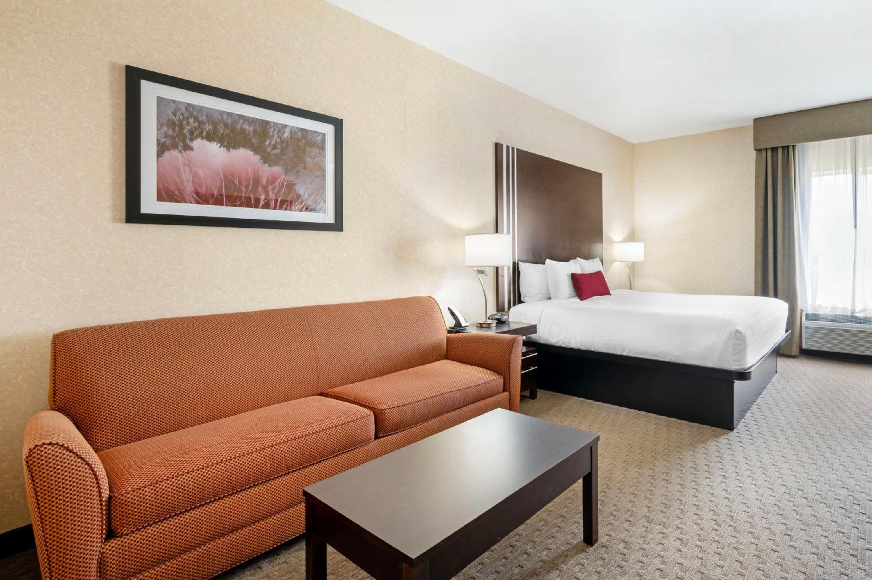 Suite with One King Bed and Sofa Bed - Non Smoking photo 2