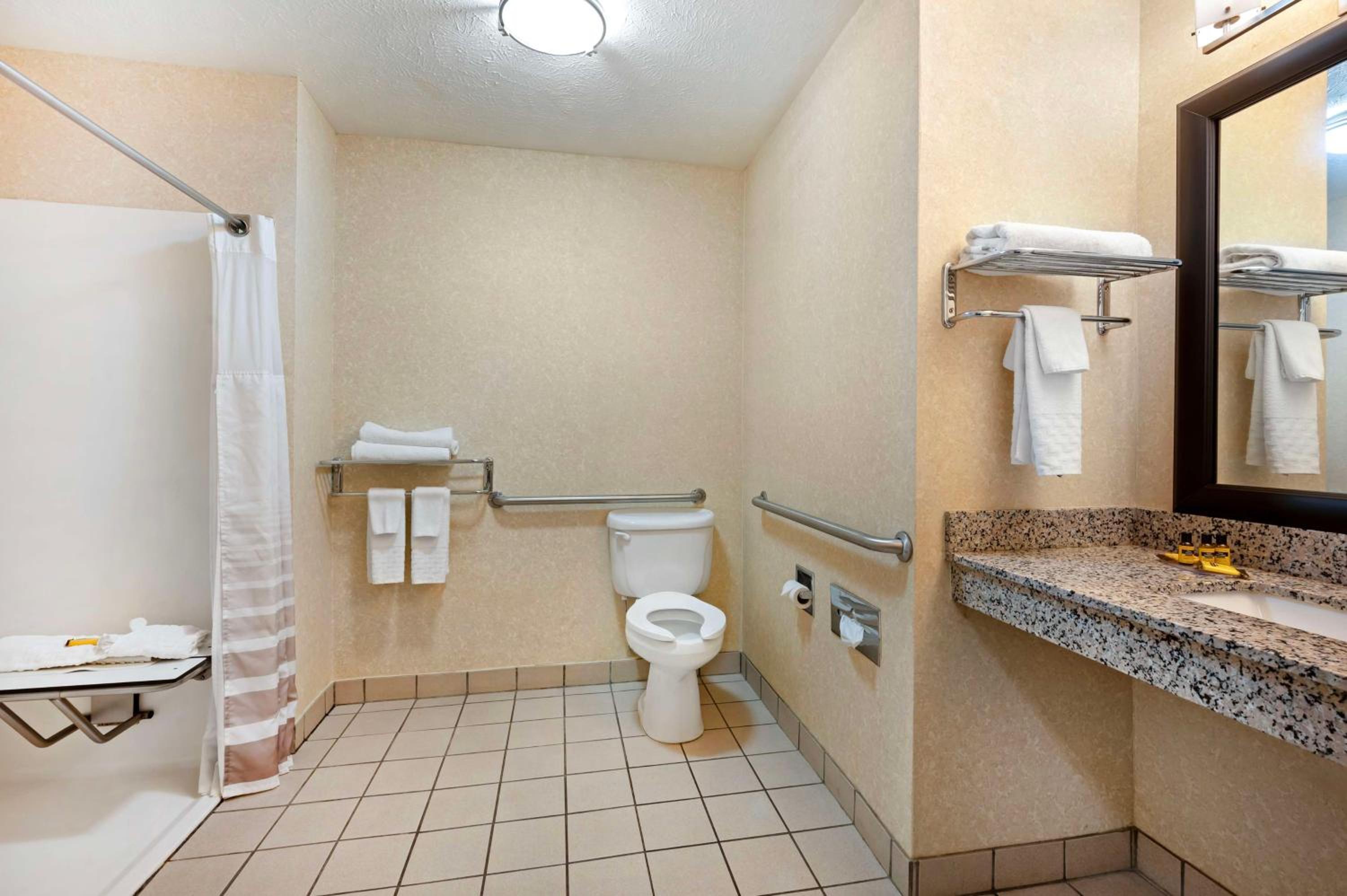 King Room with Bath Tub - Communication Assistance/Non-Smoking photo 3