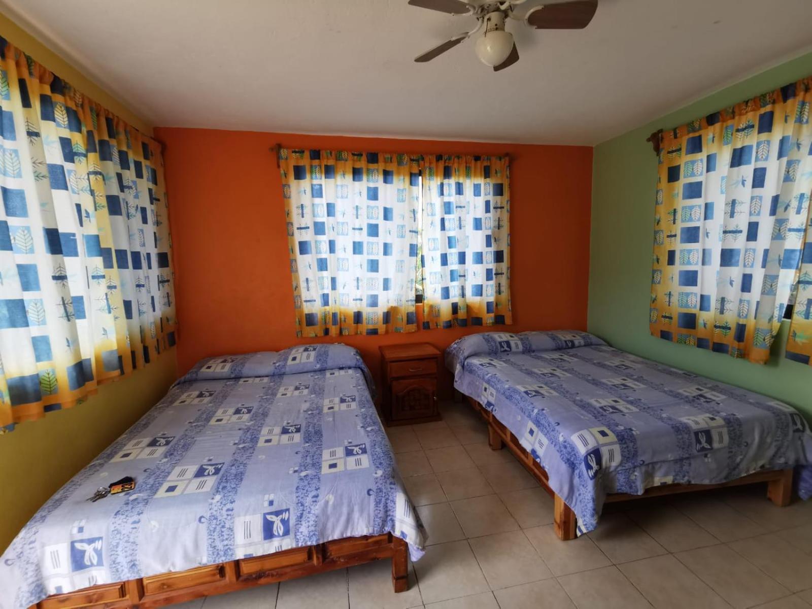 Twin Room photo 3