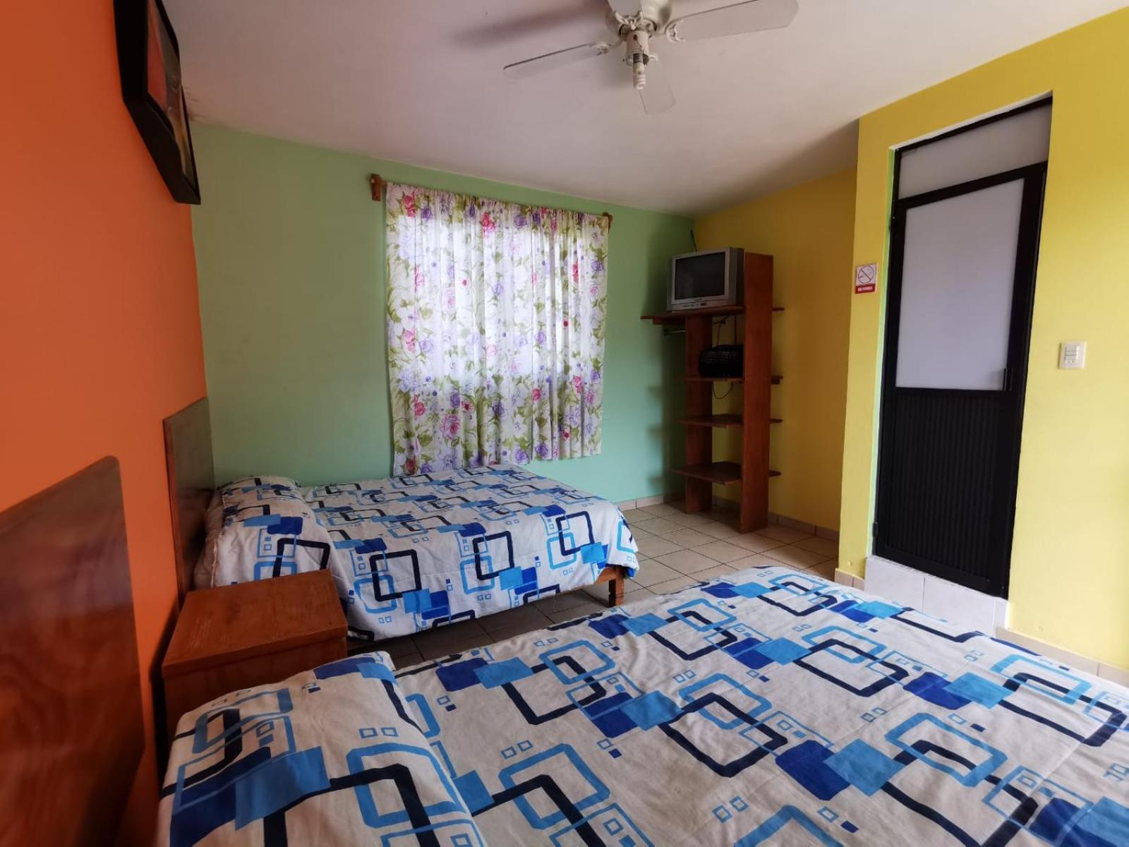 Twin Room photo 2
