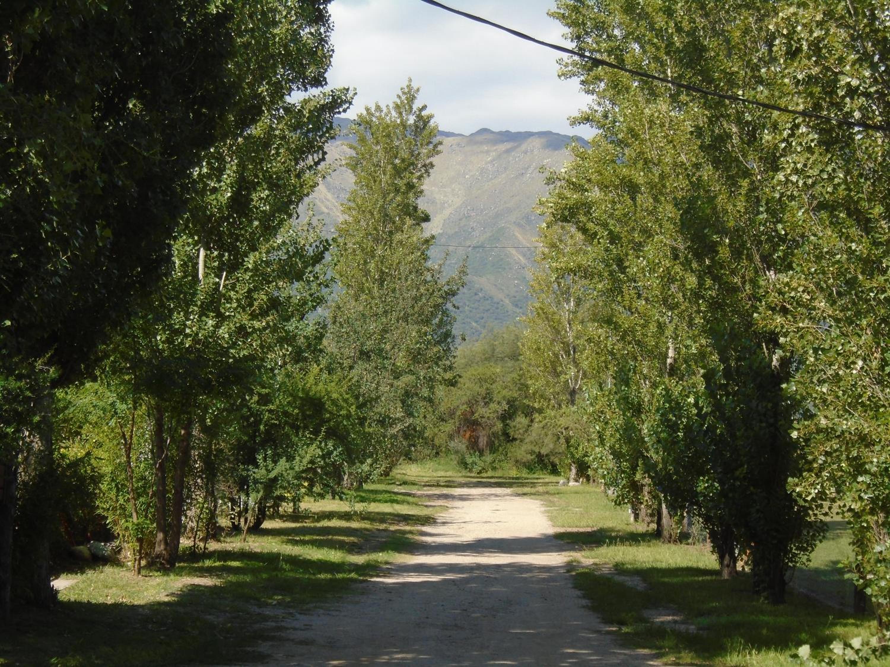 Chalet photo 3