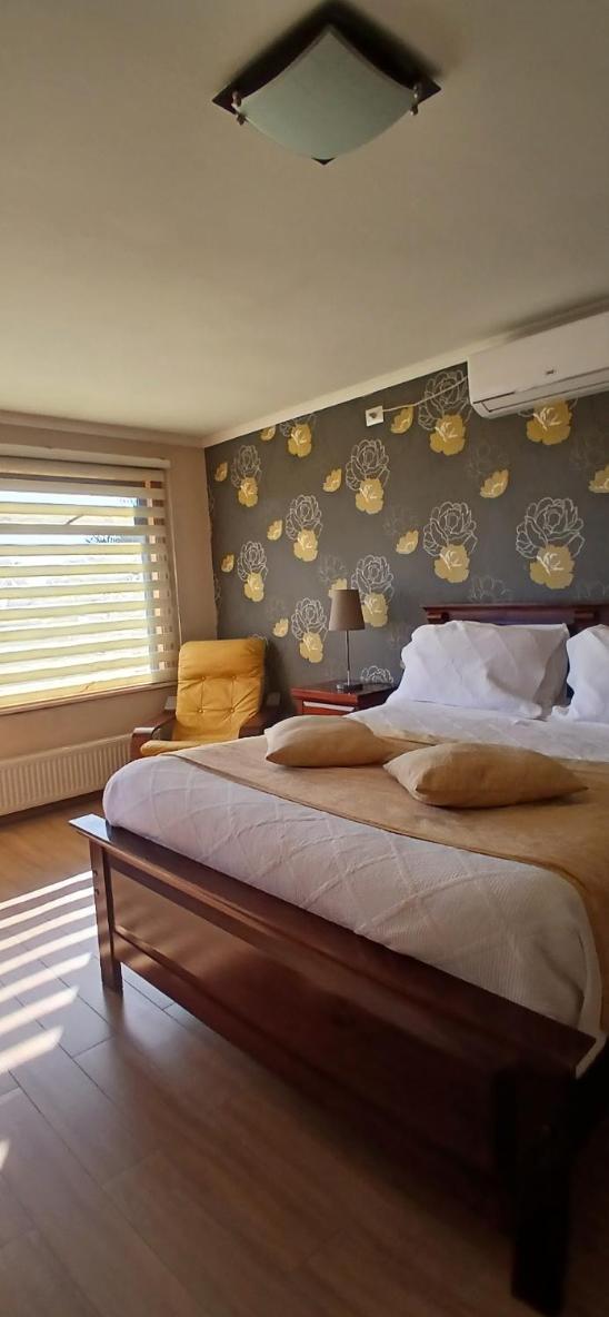 Deluxe Queen Room photo 1