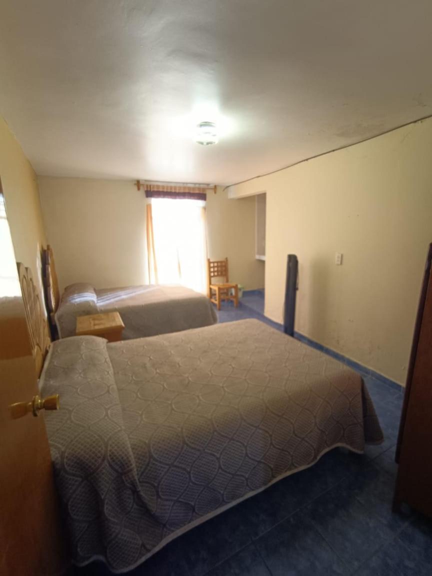 Twin Room photo 1