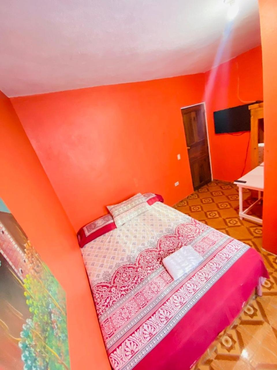 Double or Twin Room photo 3