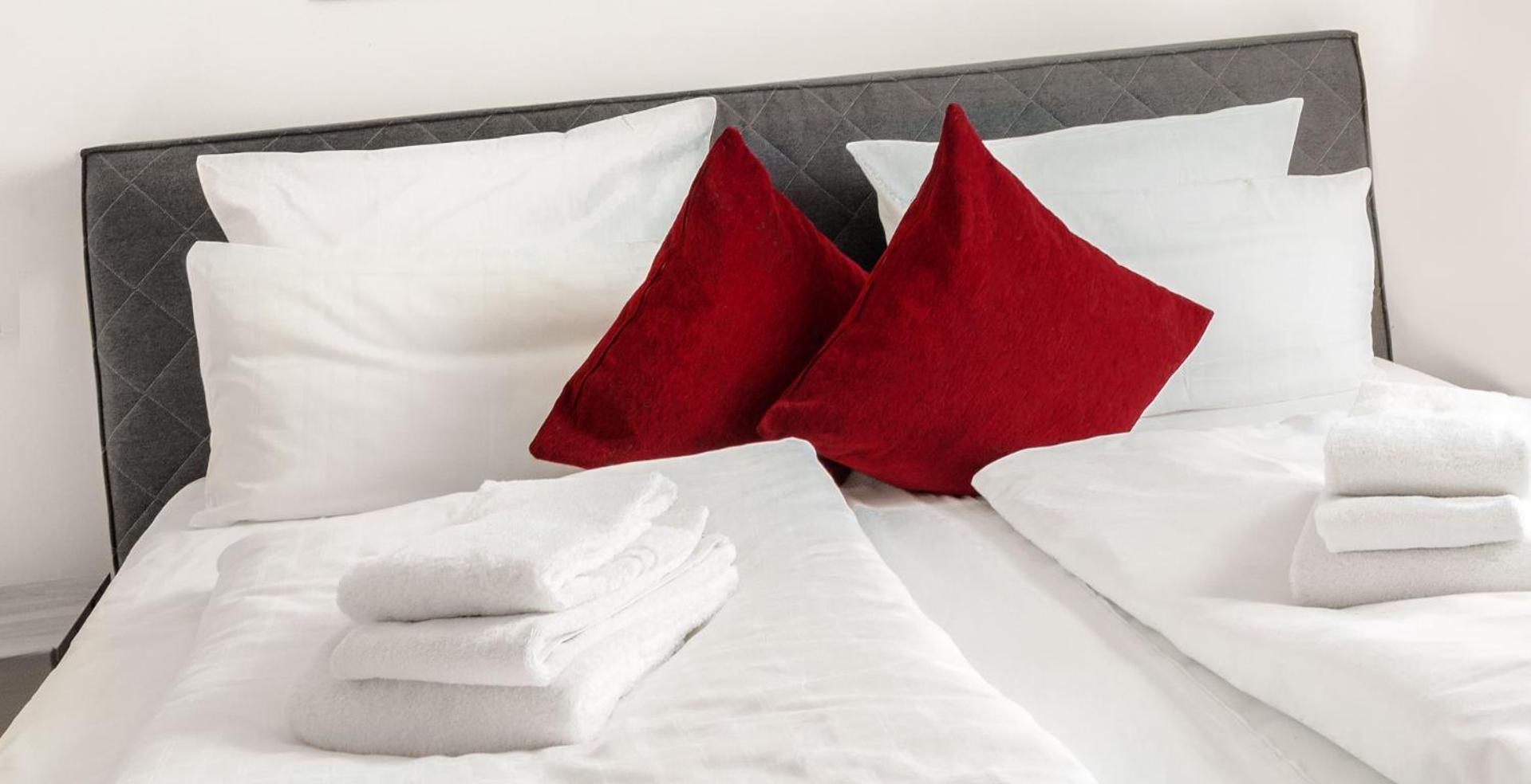 Suite - Photo 1