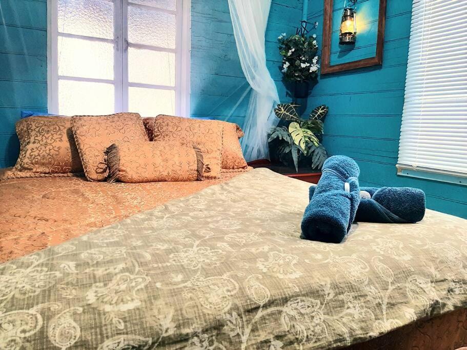 Two-Bedroom House photo 1