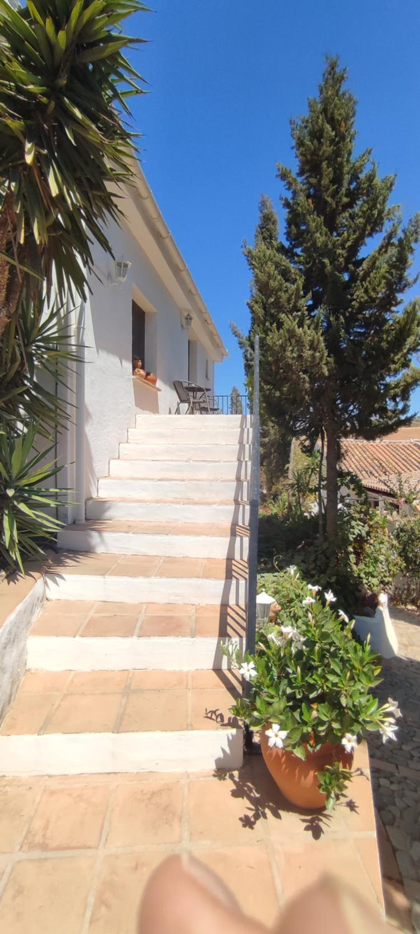 Double Room with Terrace photo 2