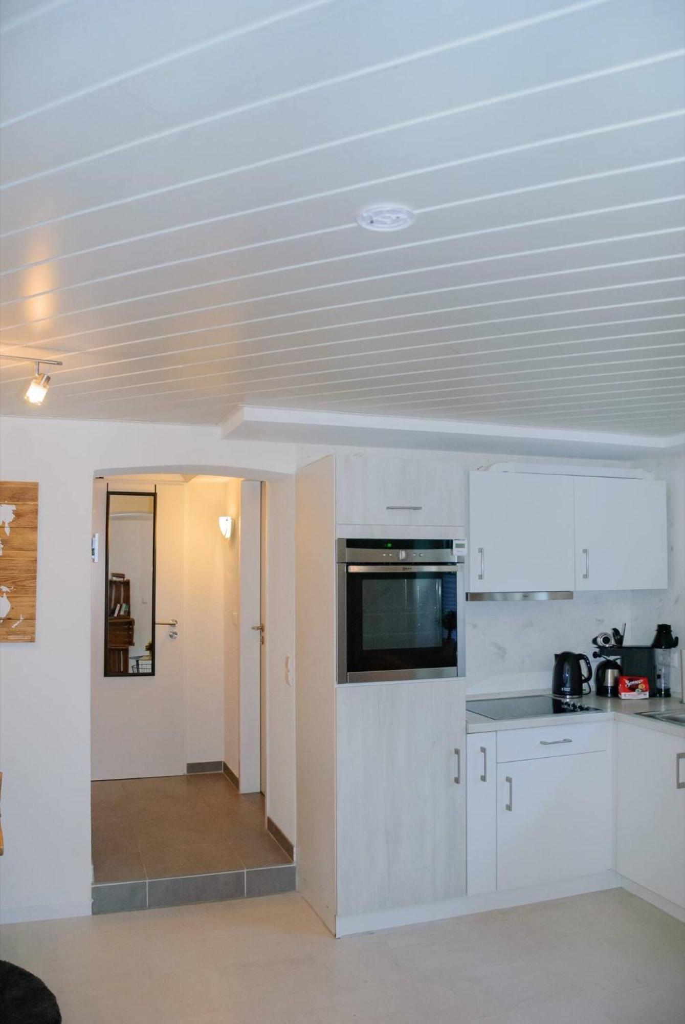 One-Bedroom Apartment with Garden photo 2